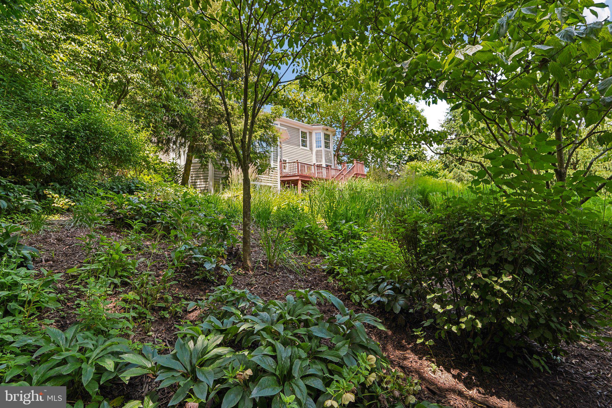 THE HILLSIDE AT SEMINARY - Residential