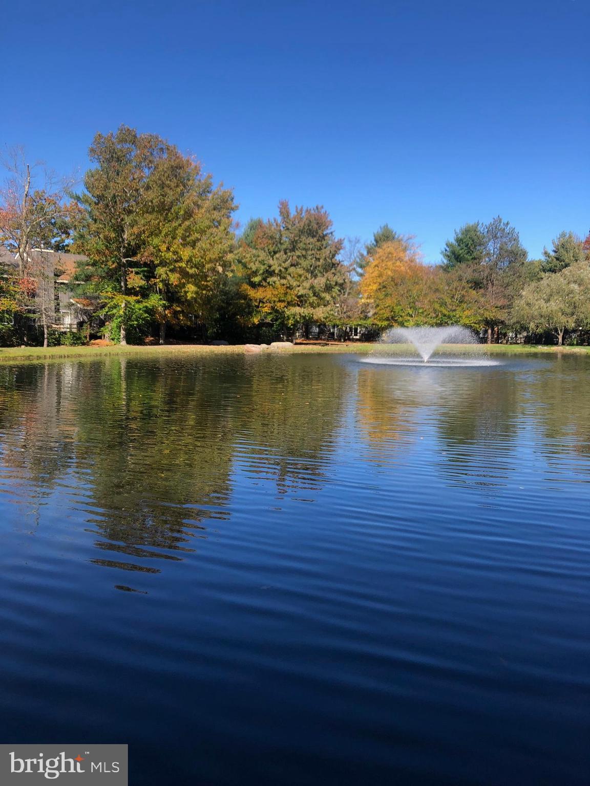 116 SNOW RIDGE CIRCLE