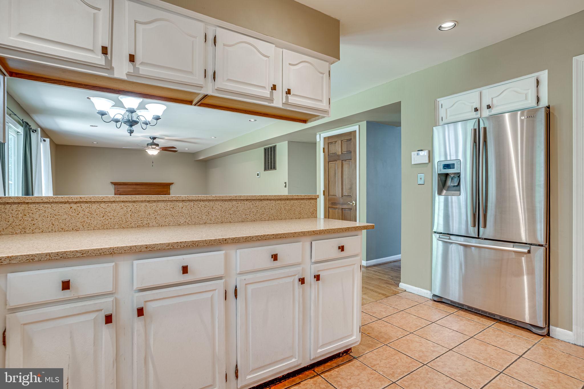 CHESTNUT RIDGE - Residential