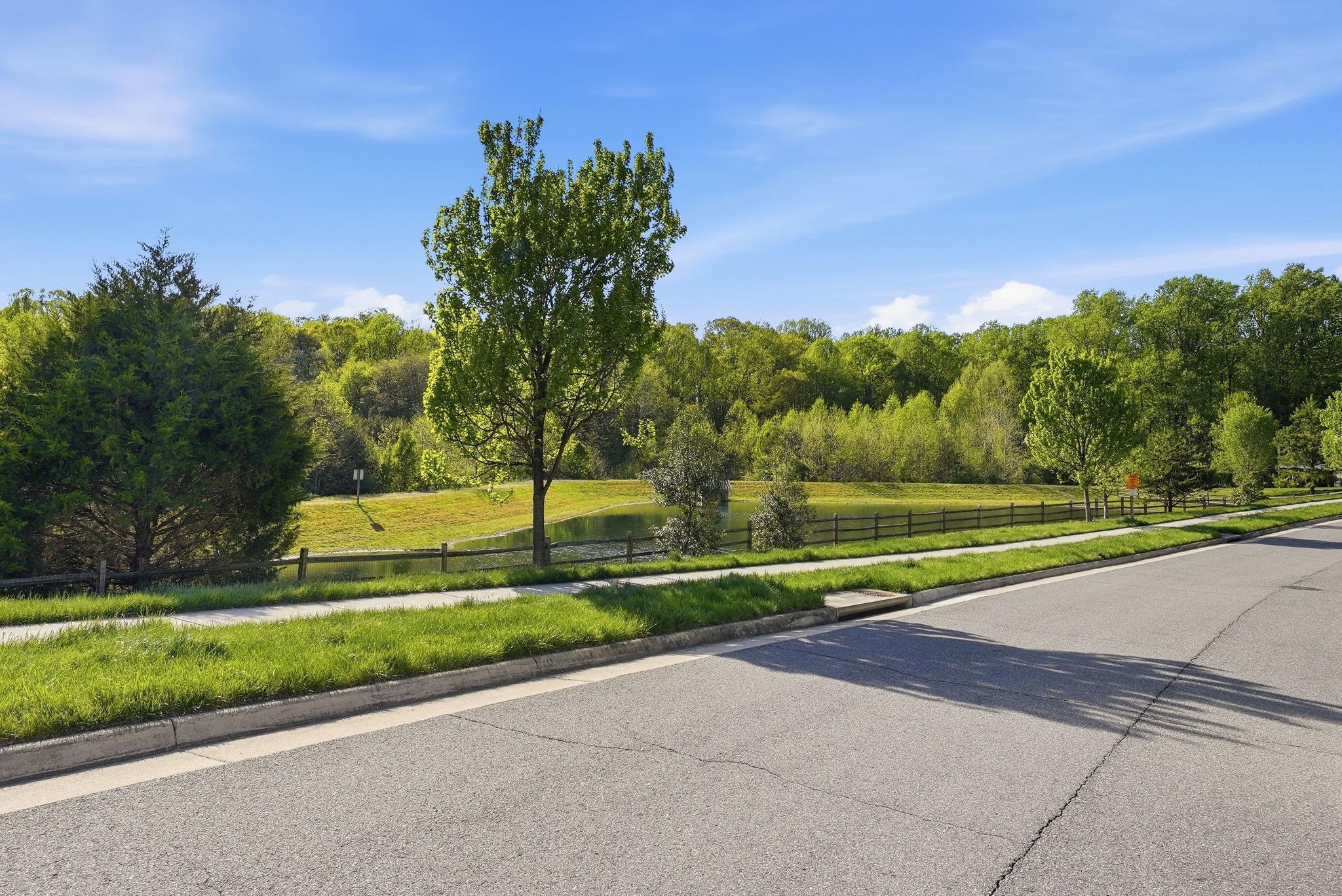 14997 SPRIGGS VALLEY COURT