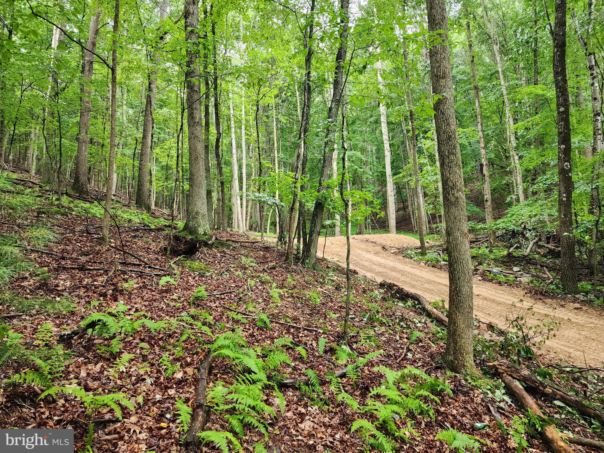 LOST RIVER MOUNTAIN - Land