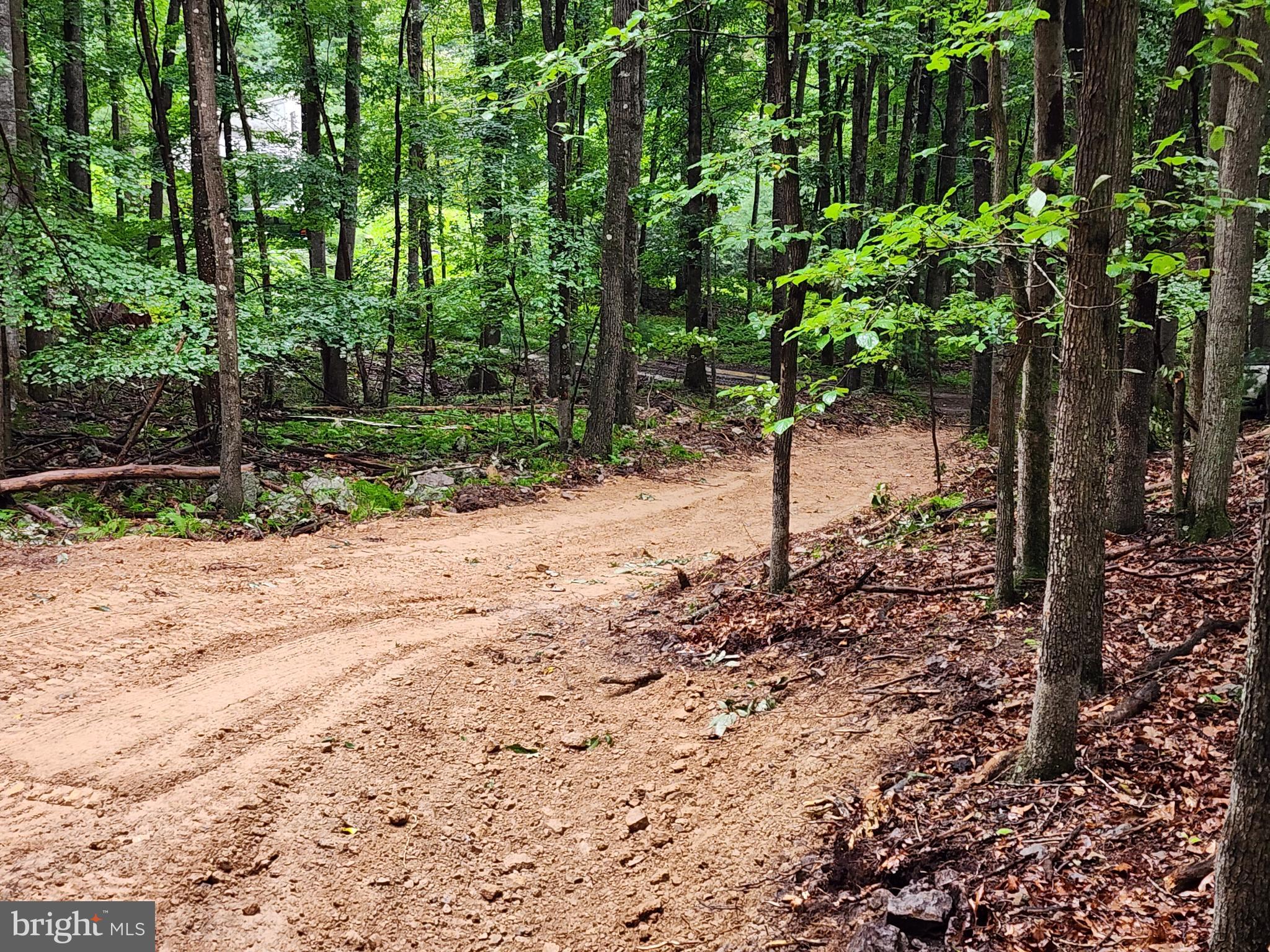 LOST RIVER MOUNTAIN - Land