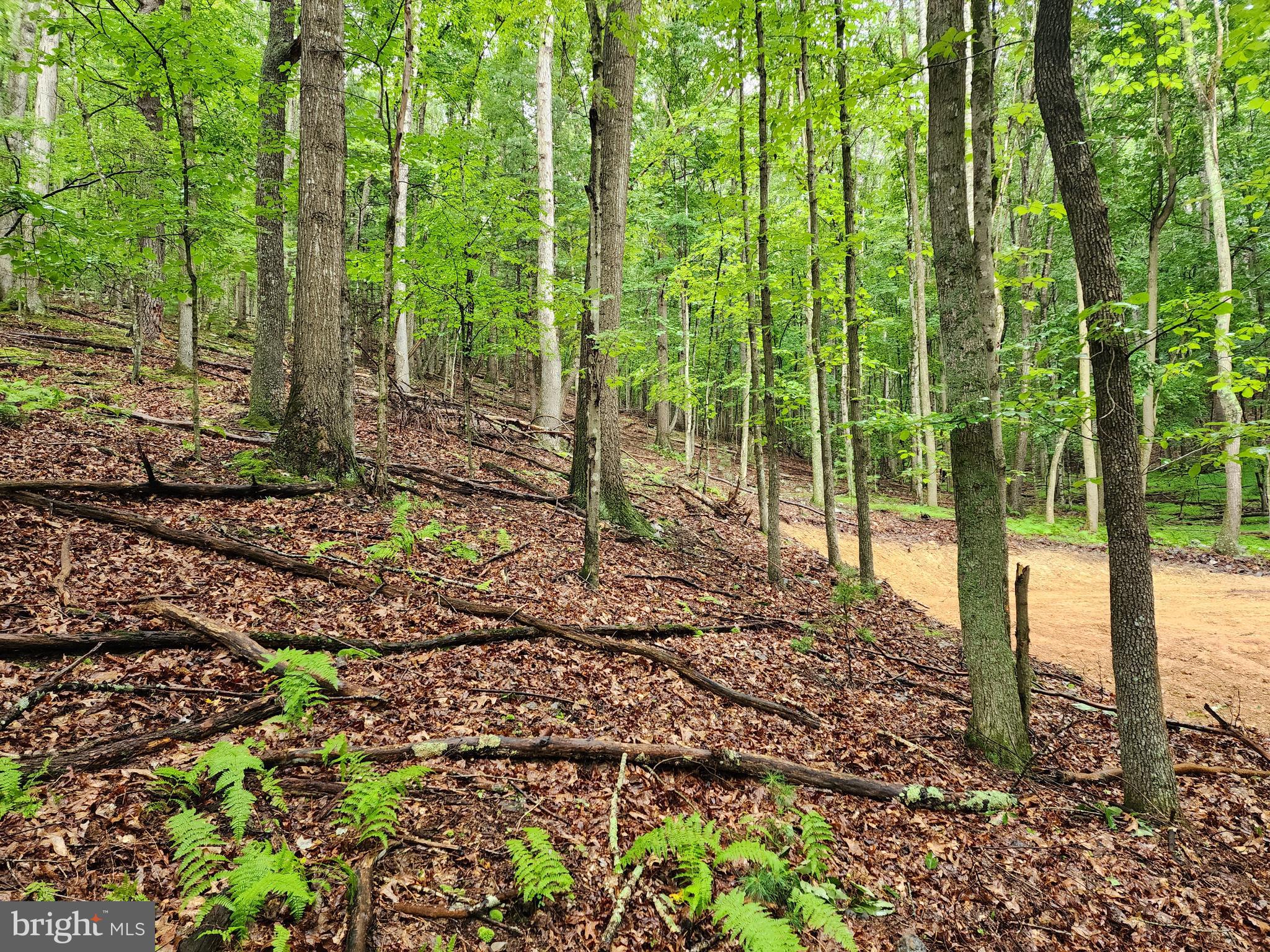 LOST RIVER MOUNTAIN - Land