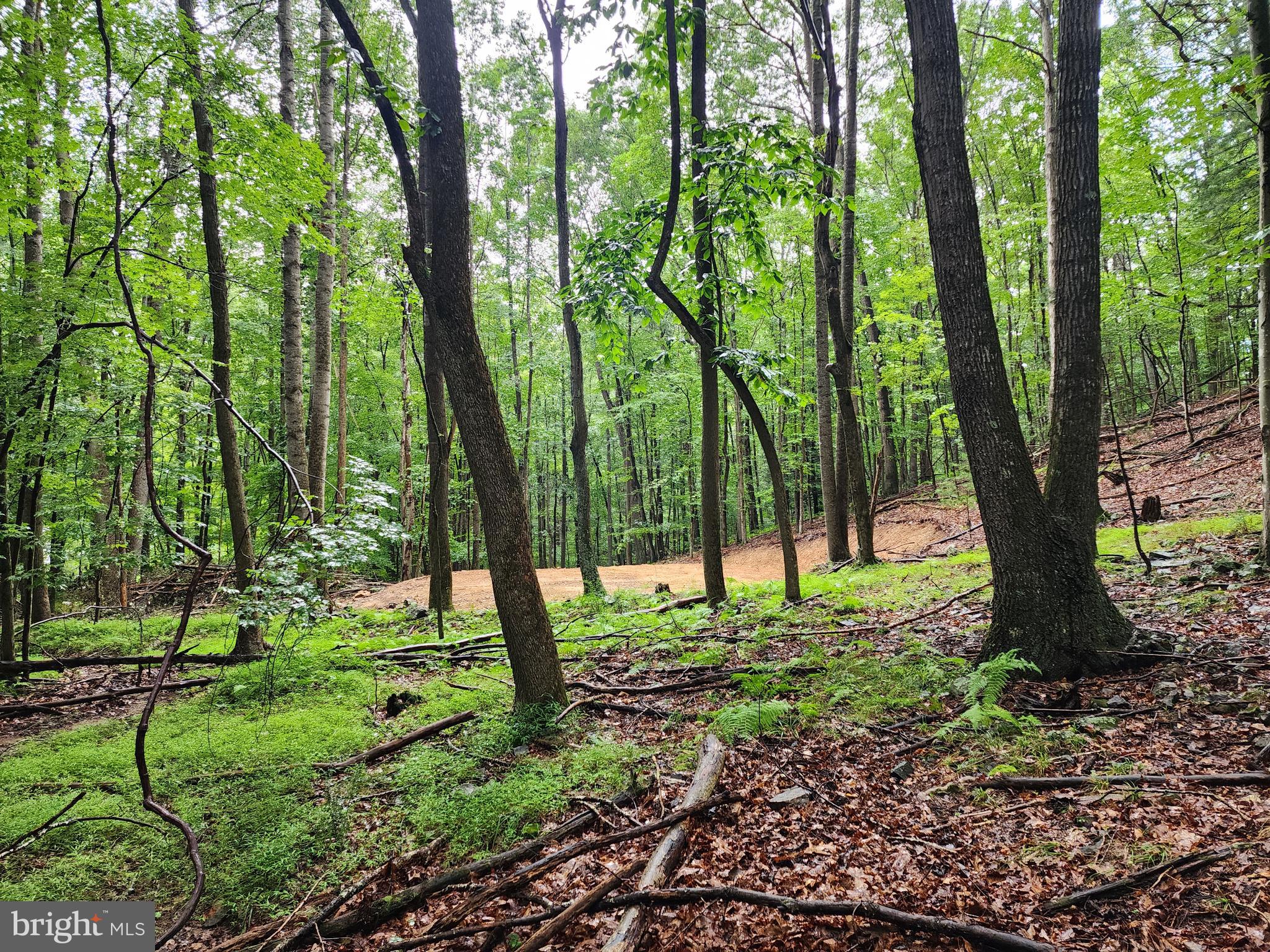 LOST RIVER MOUNTAIN - Land