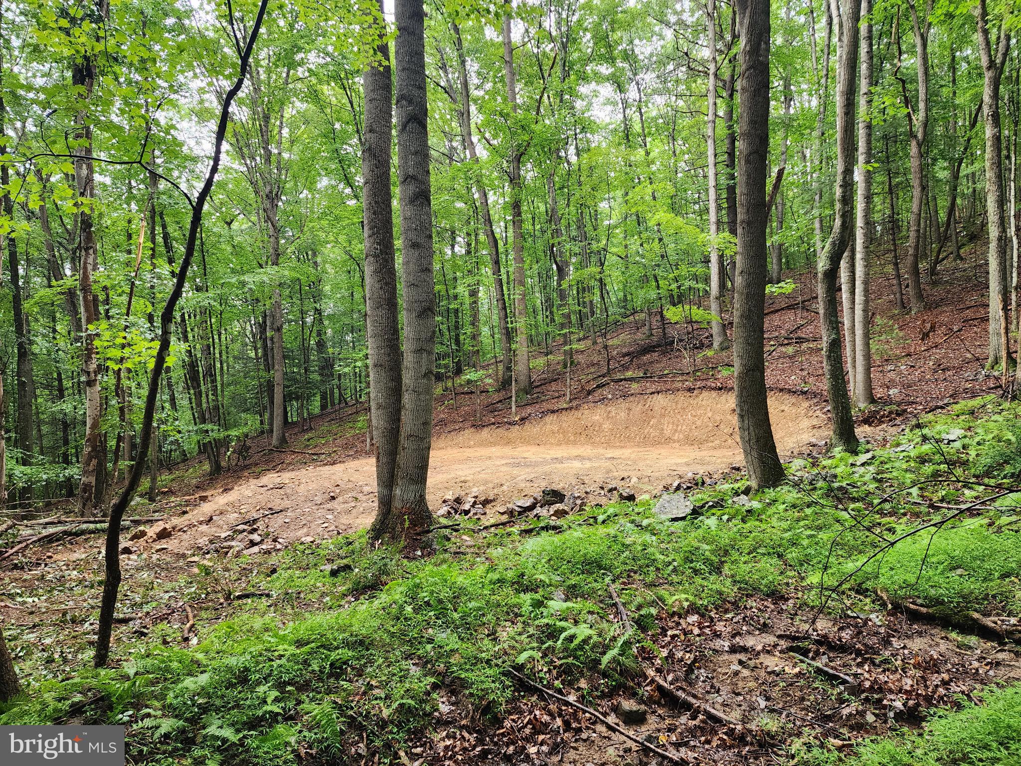 LOST RIVER MOUNTAIN - Land