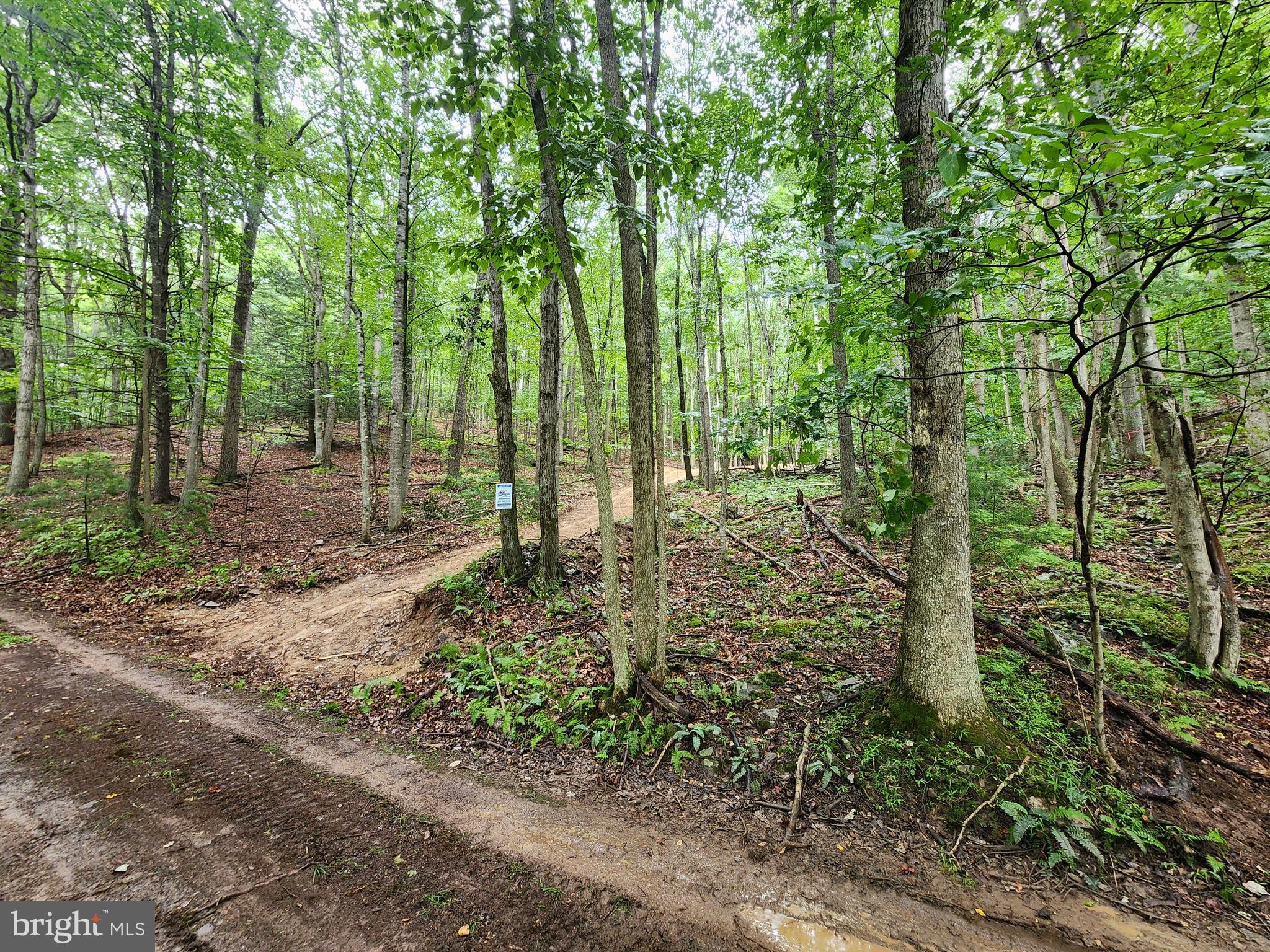 LOST RIVER MOUNTAIN - Land