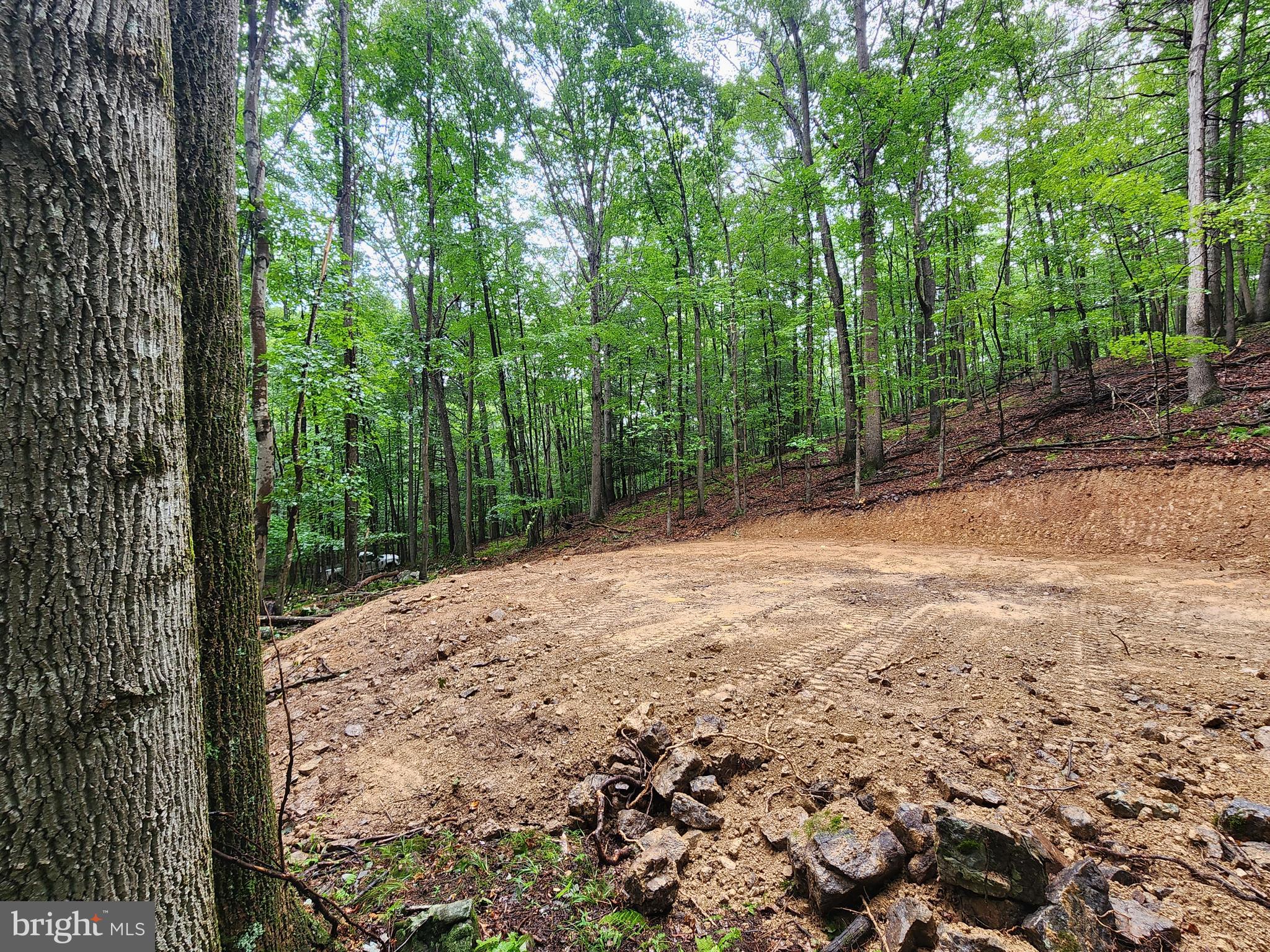 LOST RIVER MOUNTAIN - Land