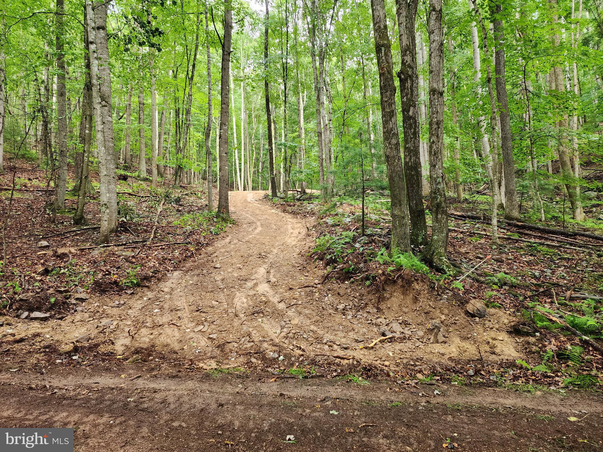 LOST RIVER MOUNTAIN - Land