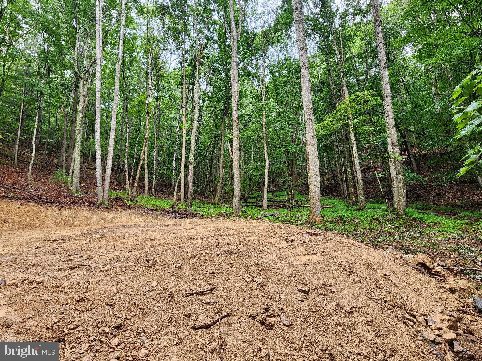 LOST RIVER MOUNTAIN - Land