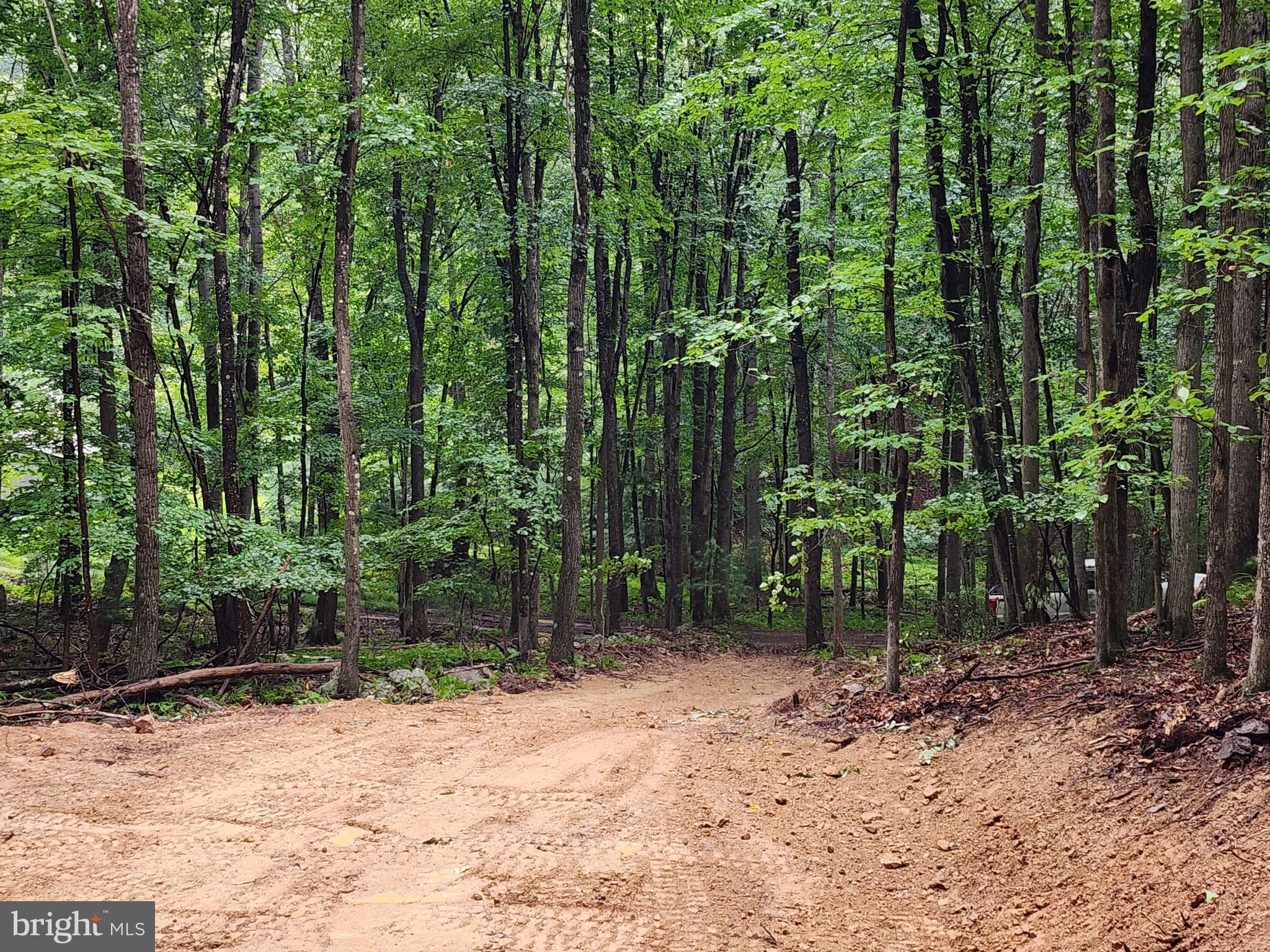 LOST RIVER MOUNTAIN - Land