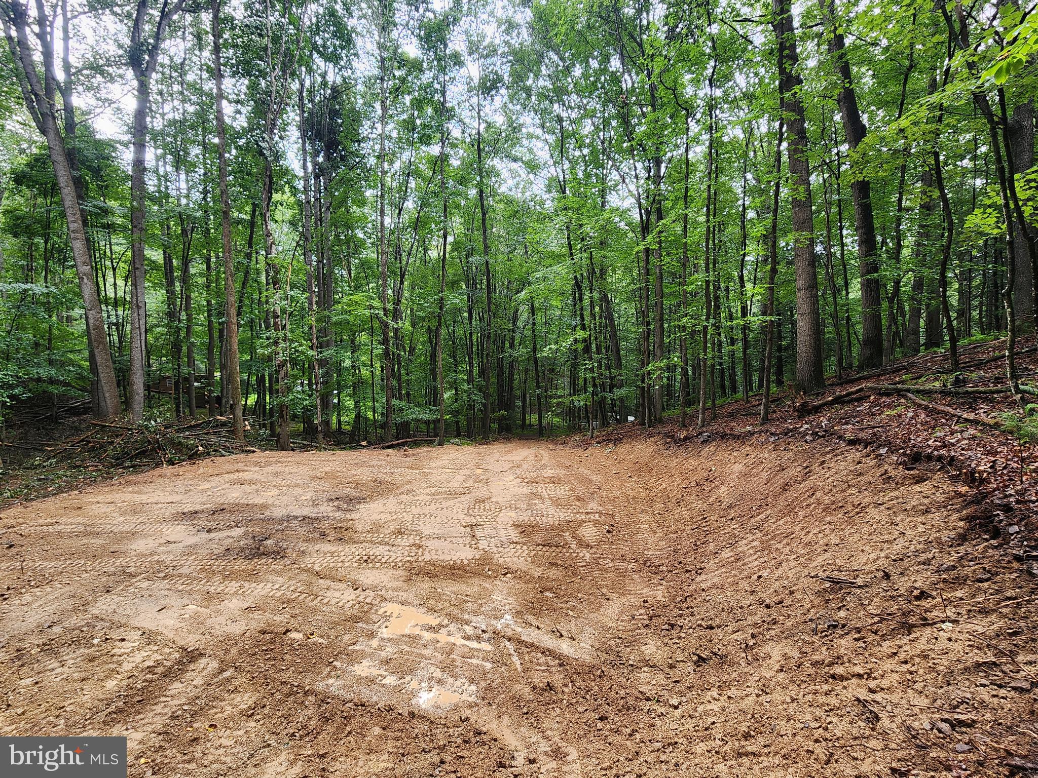 LOST RIVER MOUNTAIN - Land