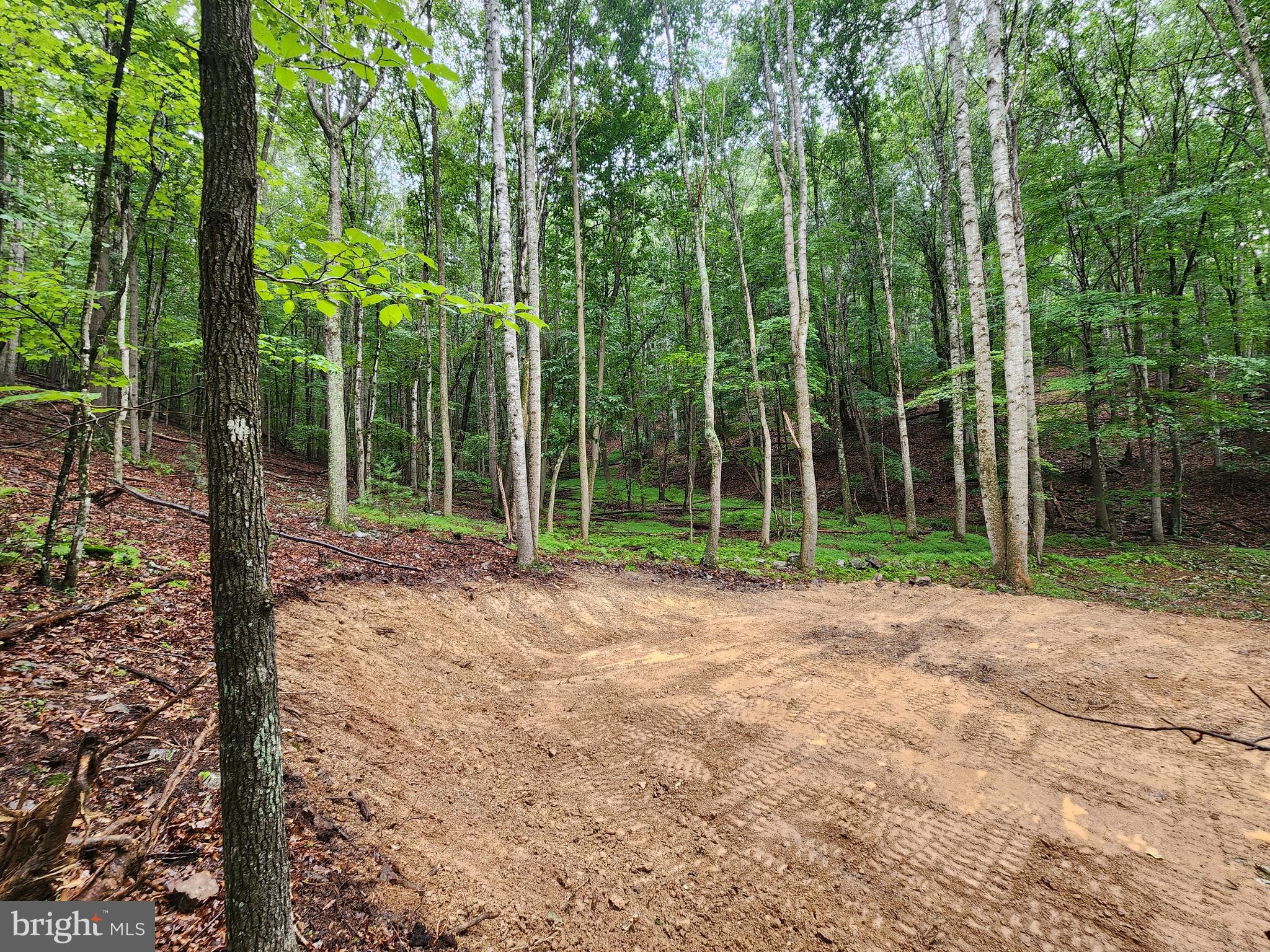 LOST RIVER MOUNTAIN - Land