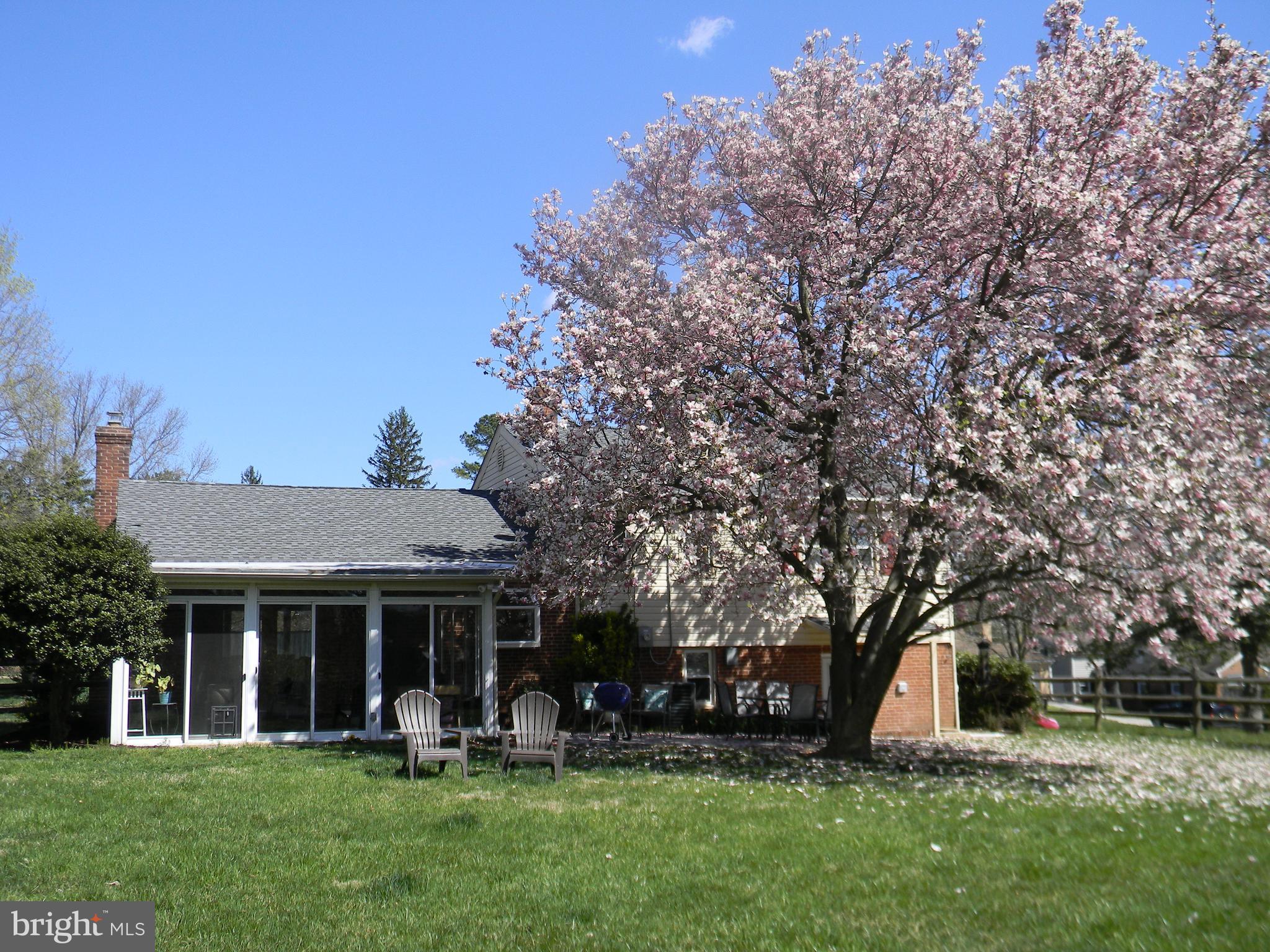 MINE BANK - Residential