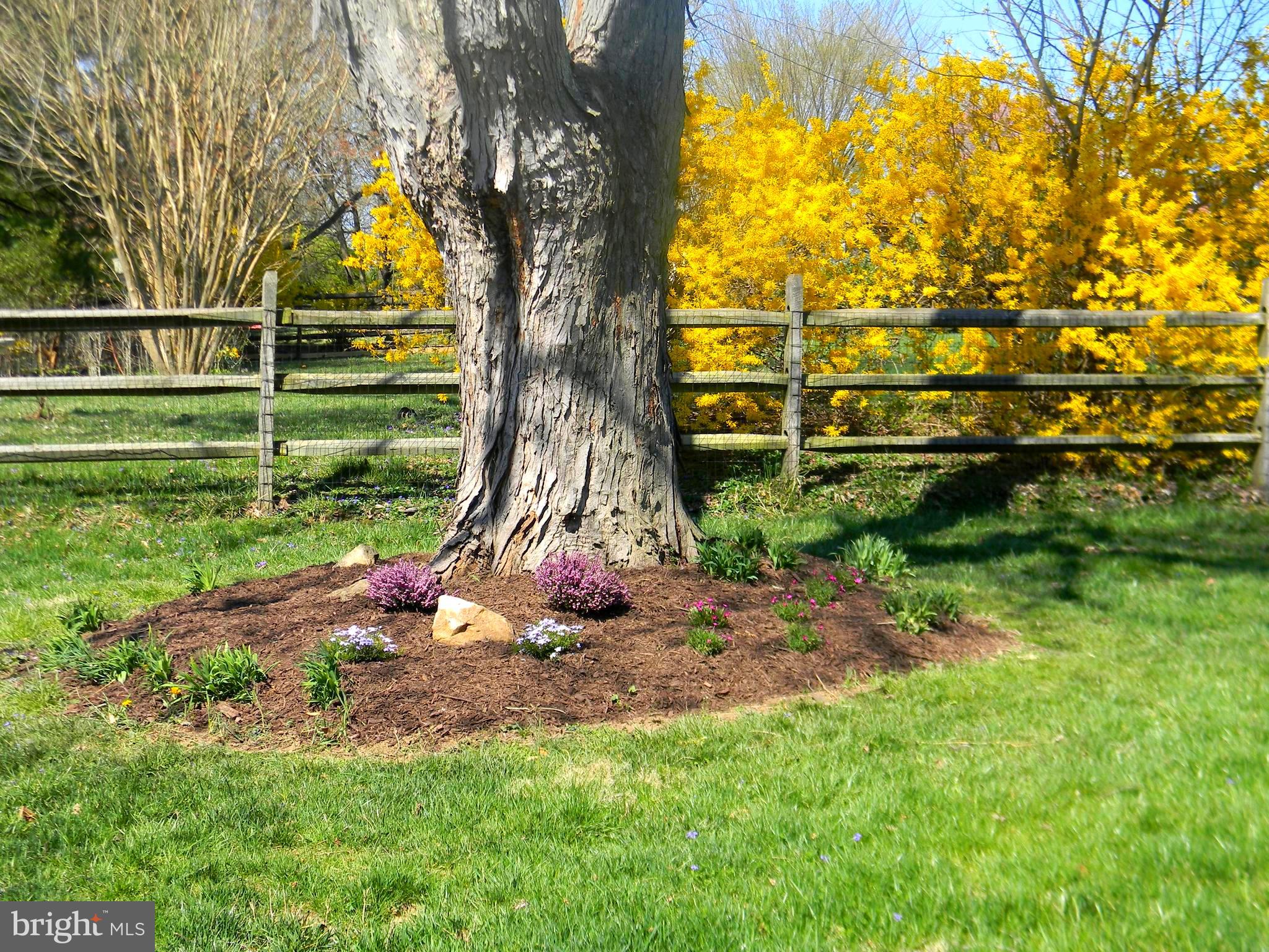 MINE BANK - Residential