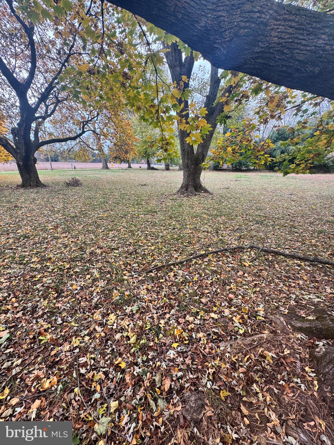 NON AVAILABLE - Residential