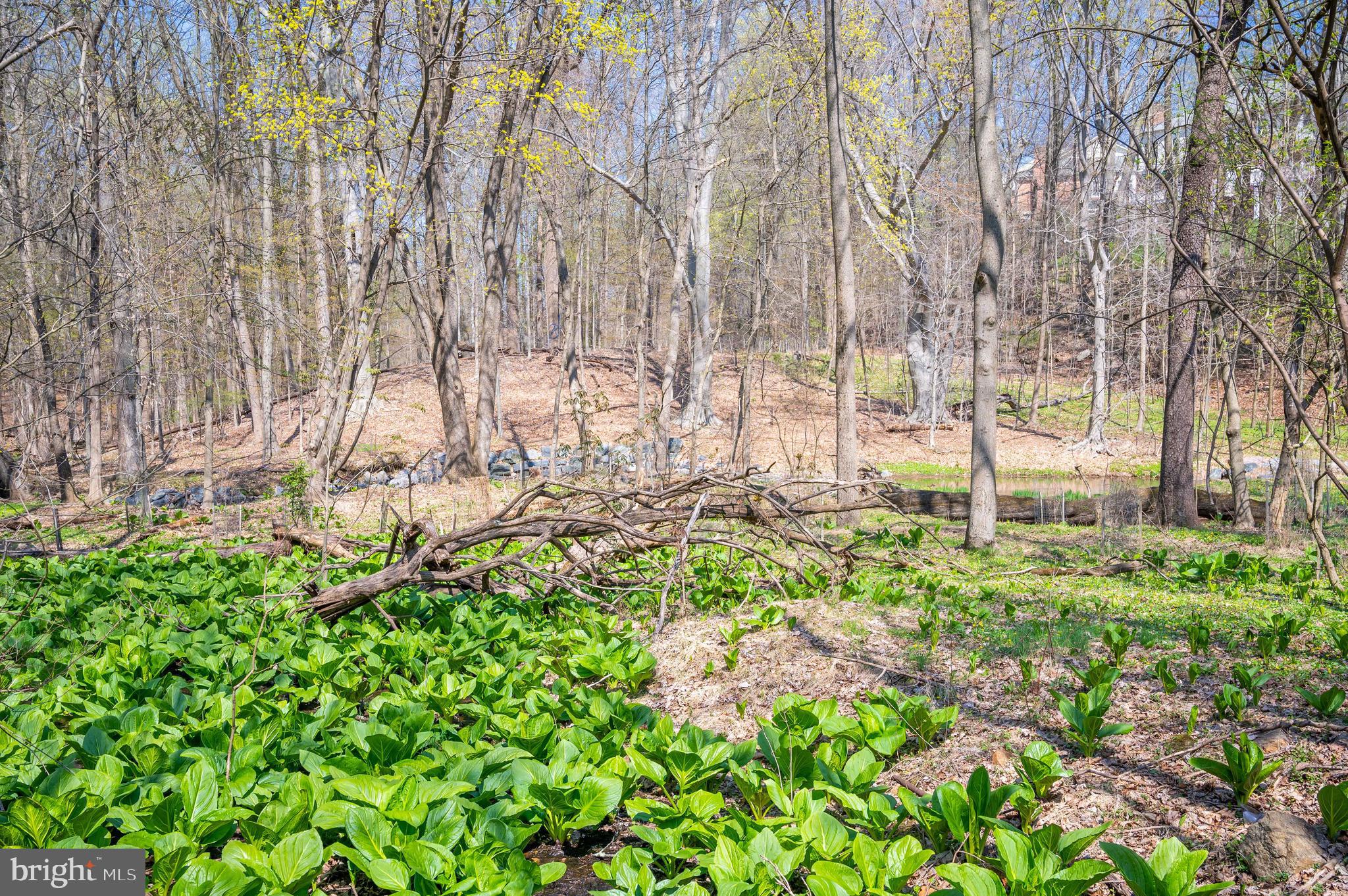 THE CLOISTERS AT CHARLES - Residential