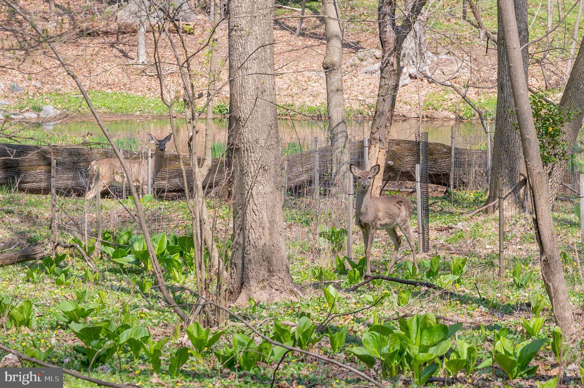 THE CLOISTERS AT CHARLES - Residential