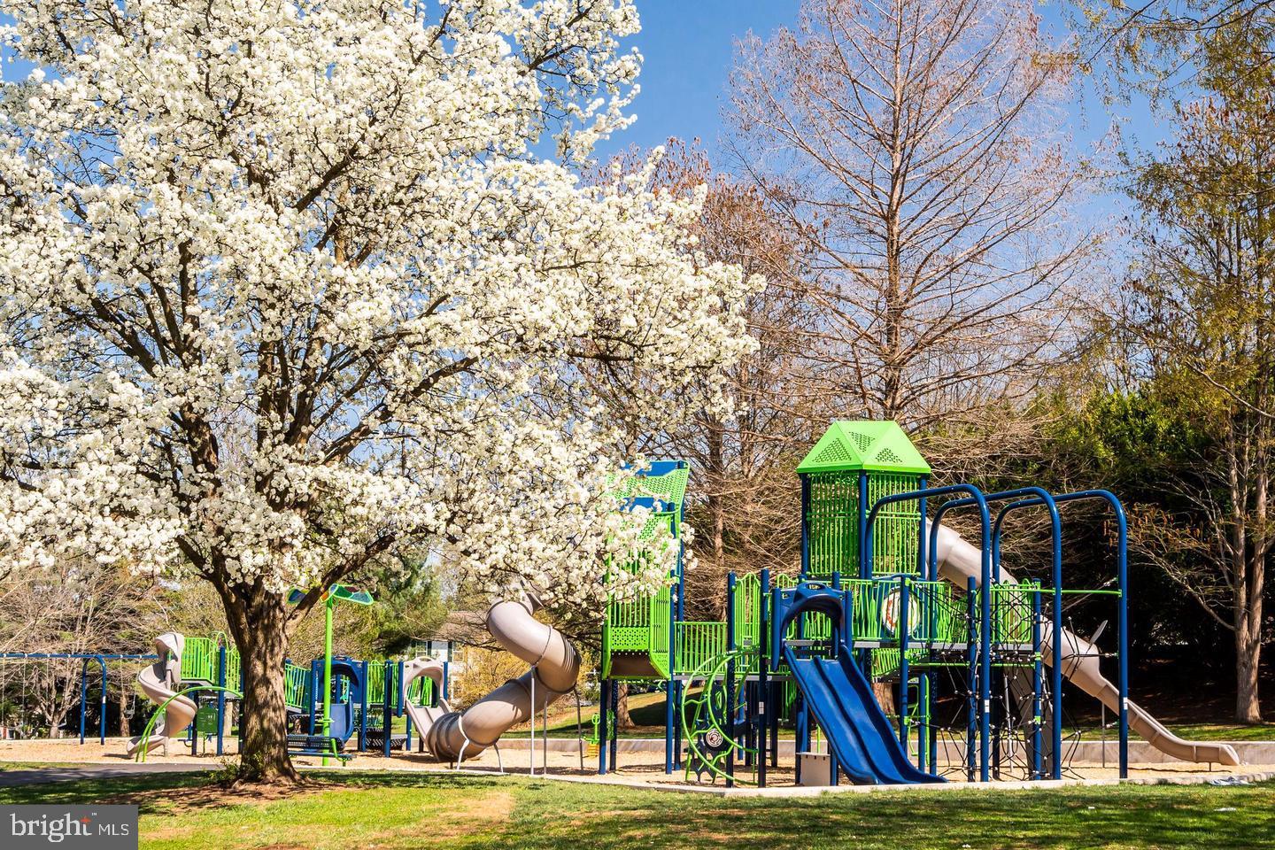 WHETSTONE - Residential