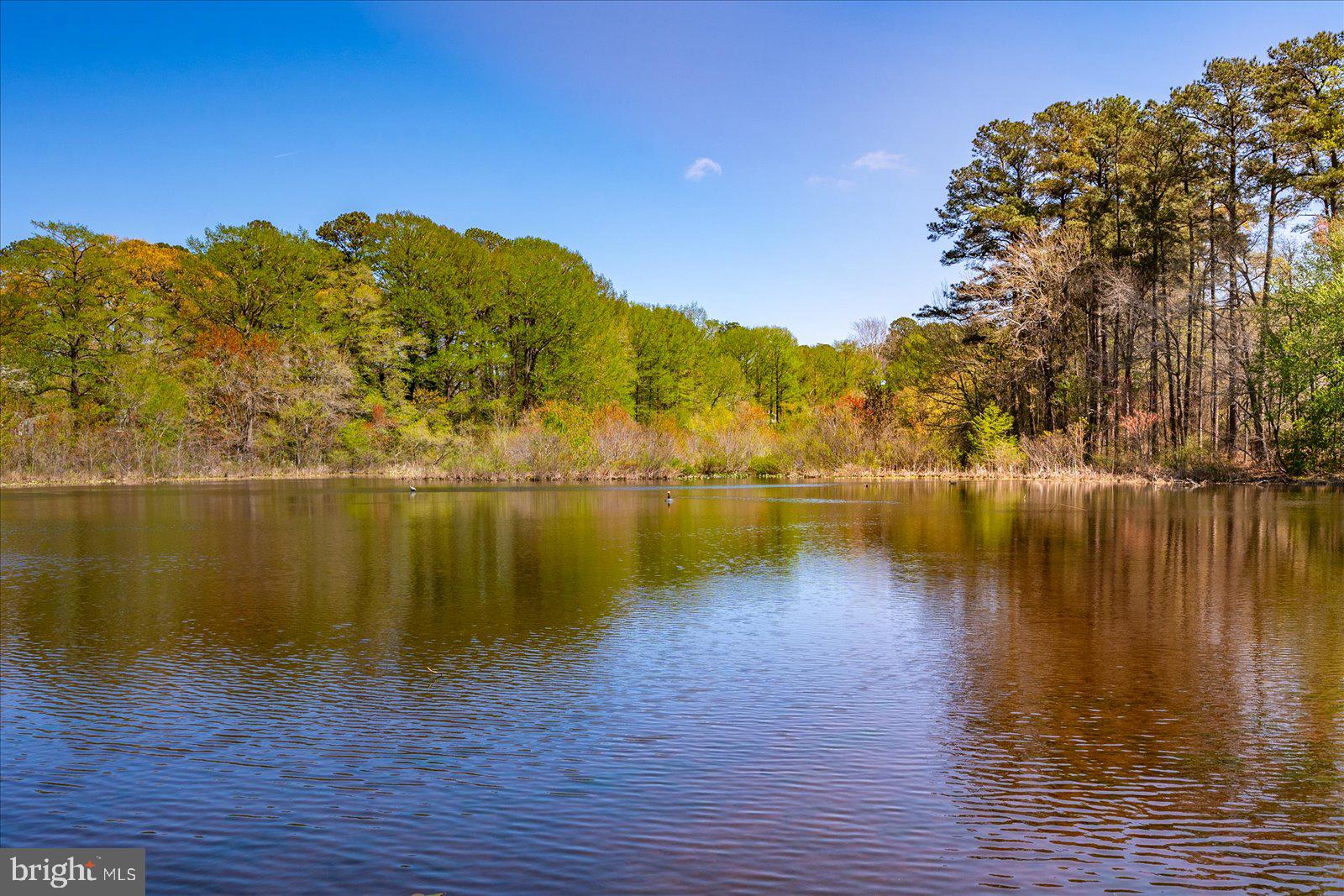 CANAL WOODS III - Residential