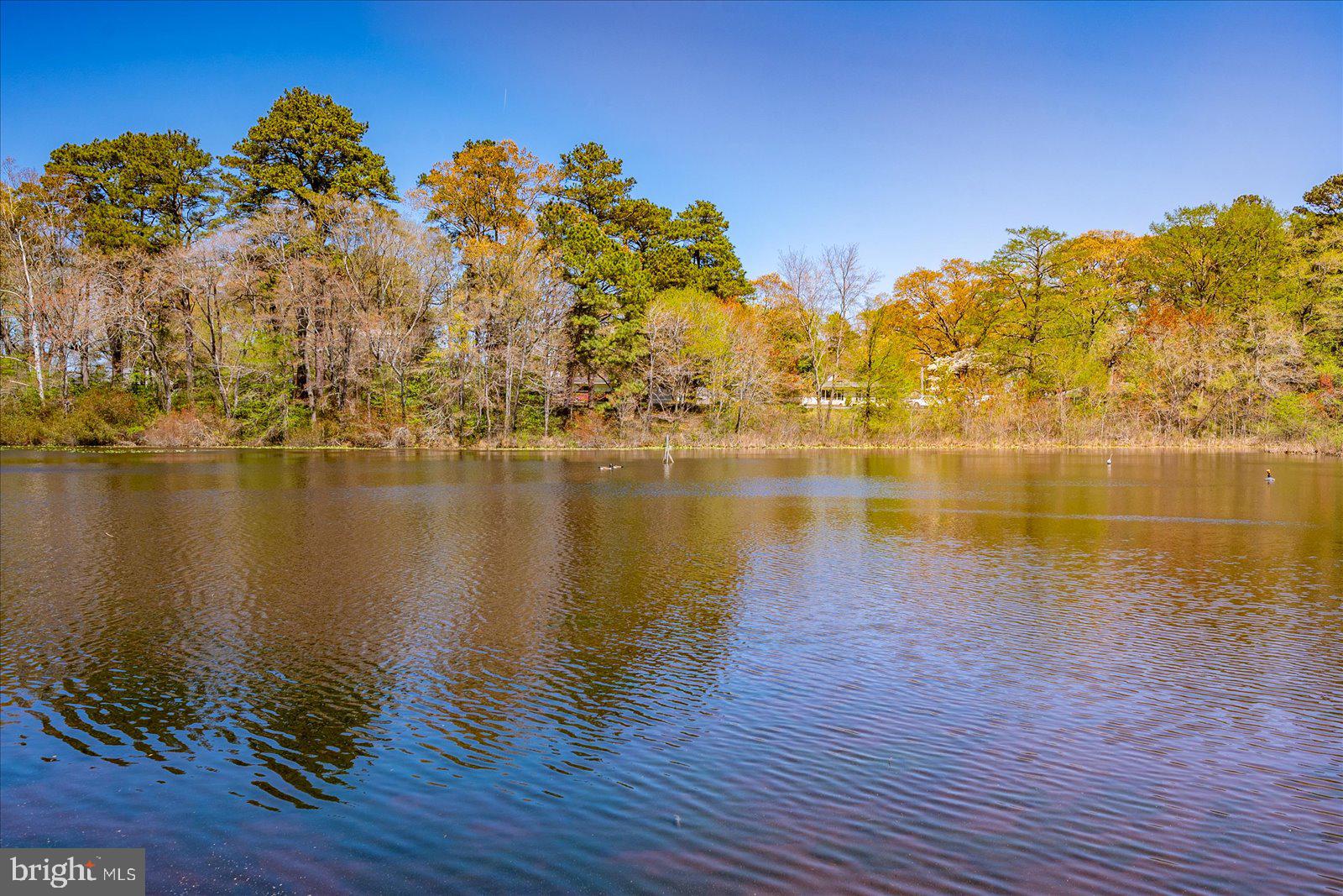 CANAL WOODS III - Residential