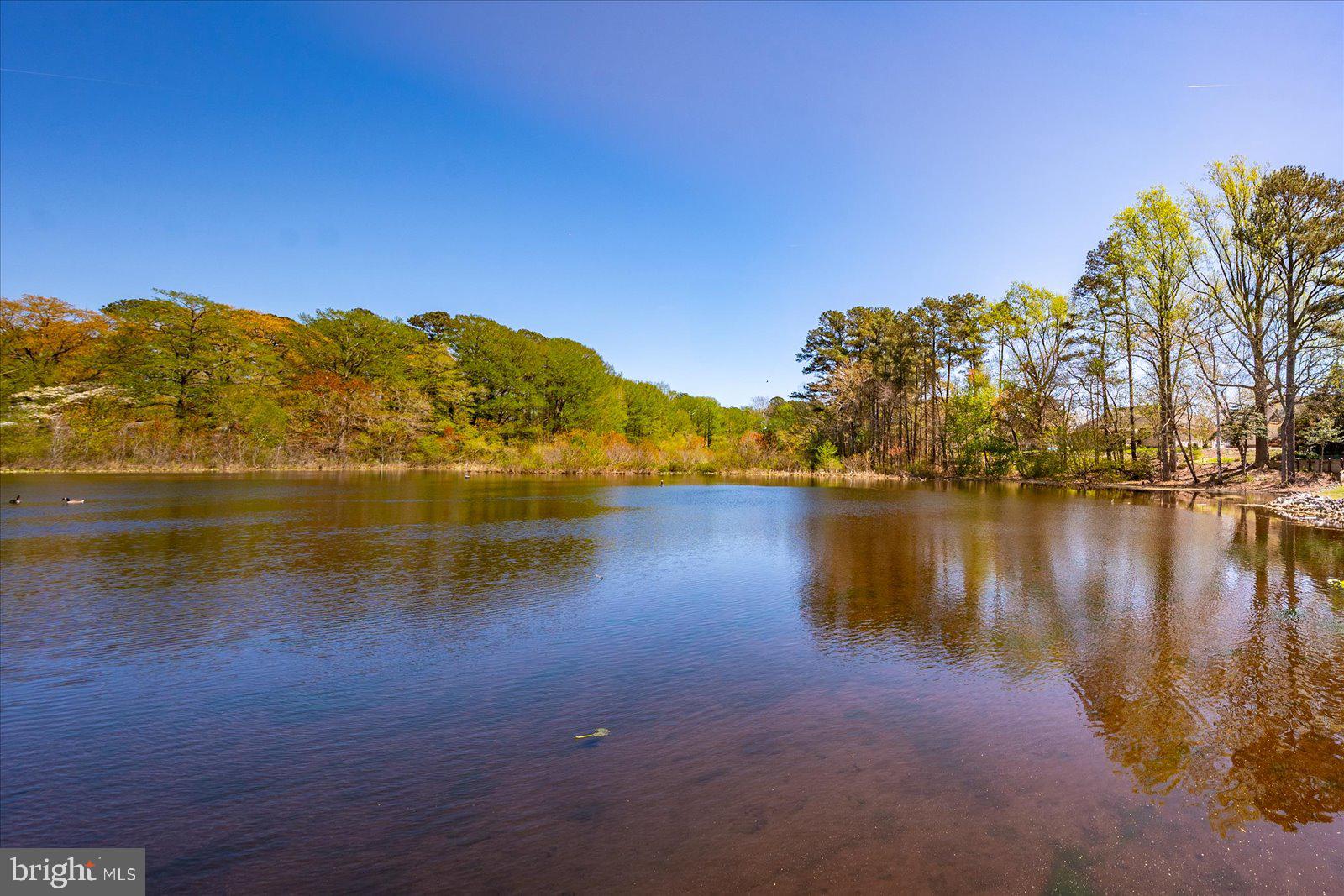 CANAL WOODS III - Residential