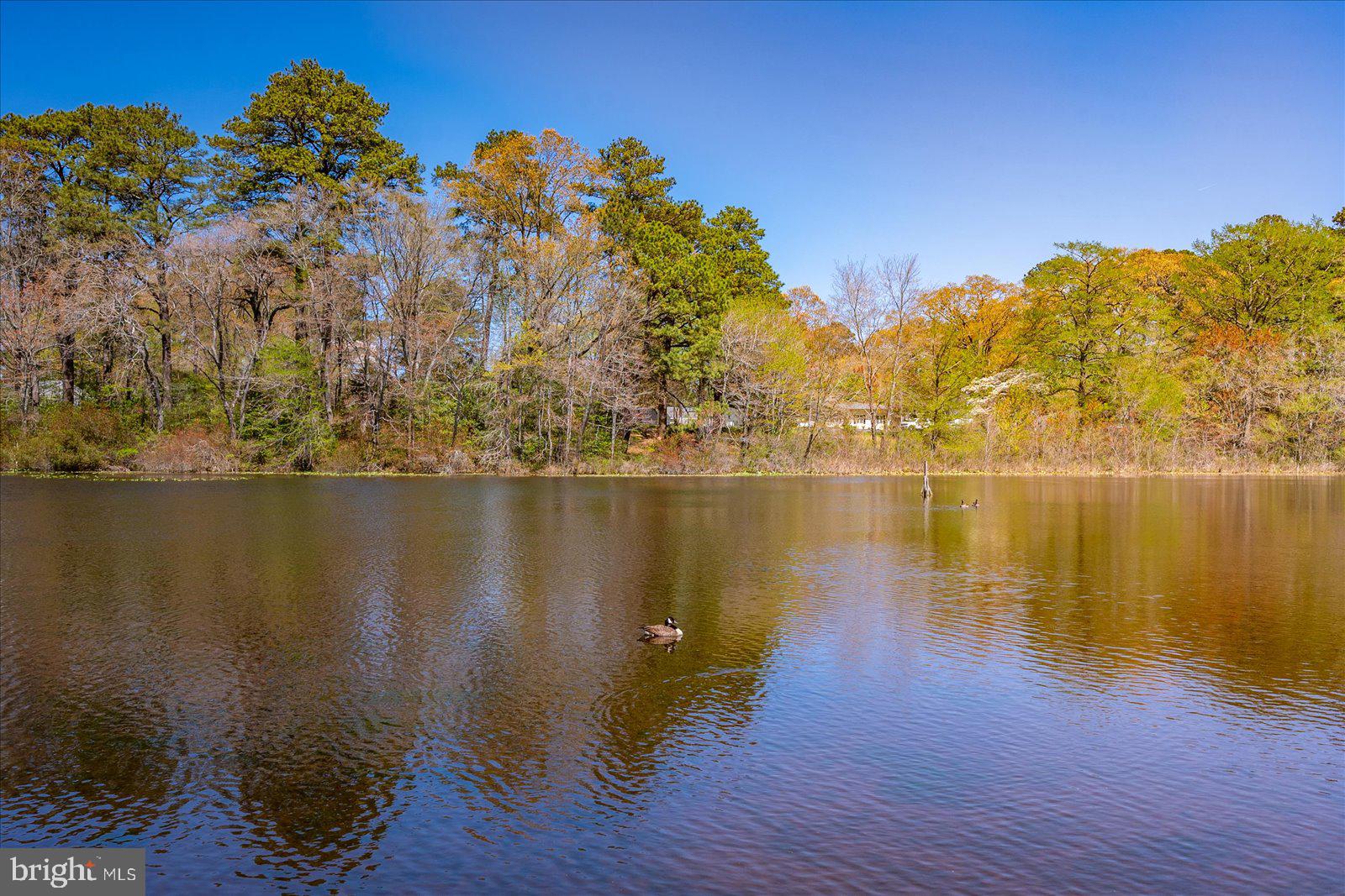 CANAL WOODS III - Residential