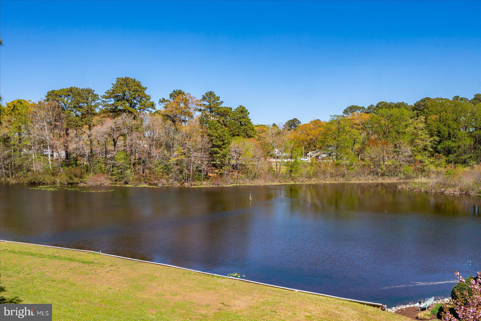 227 CANAL PARK DRIVE 301