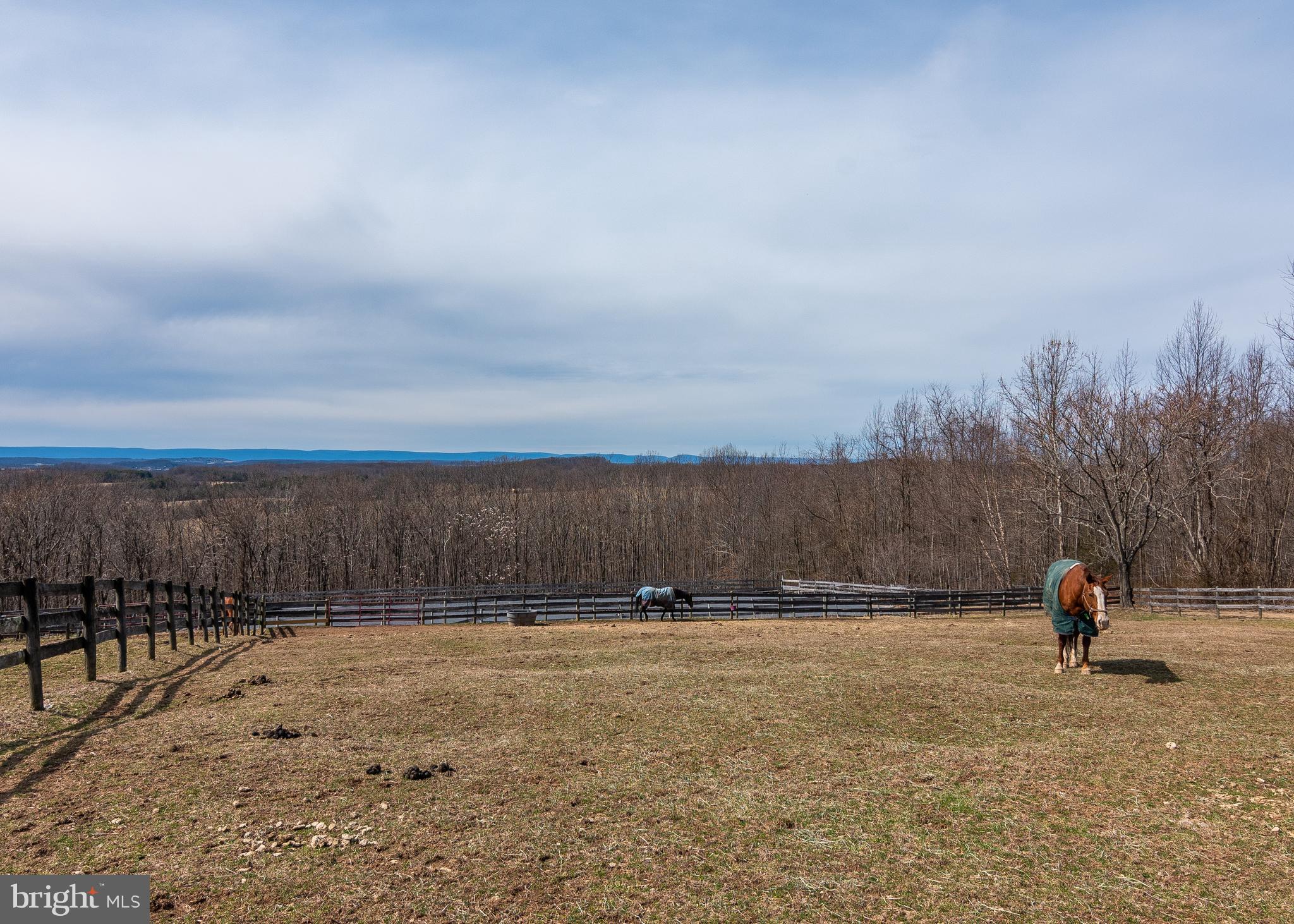 TALBOT RUN ESTATES - Farm