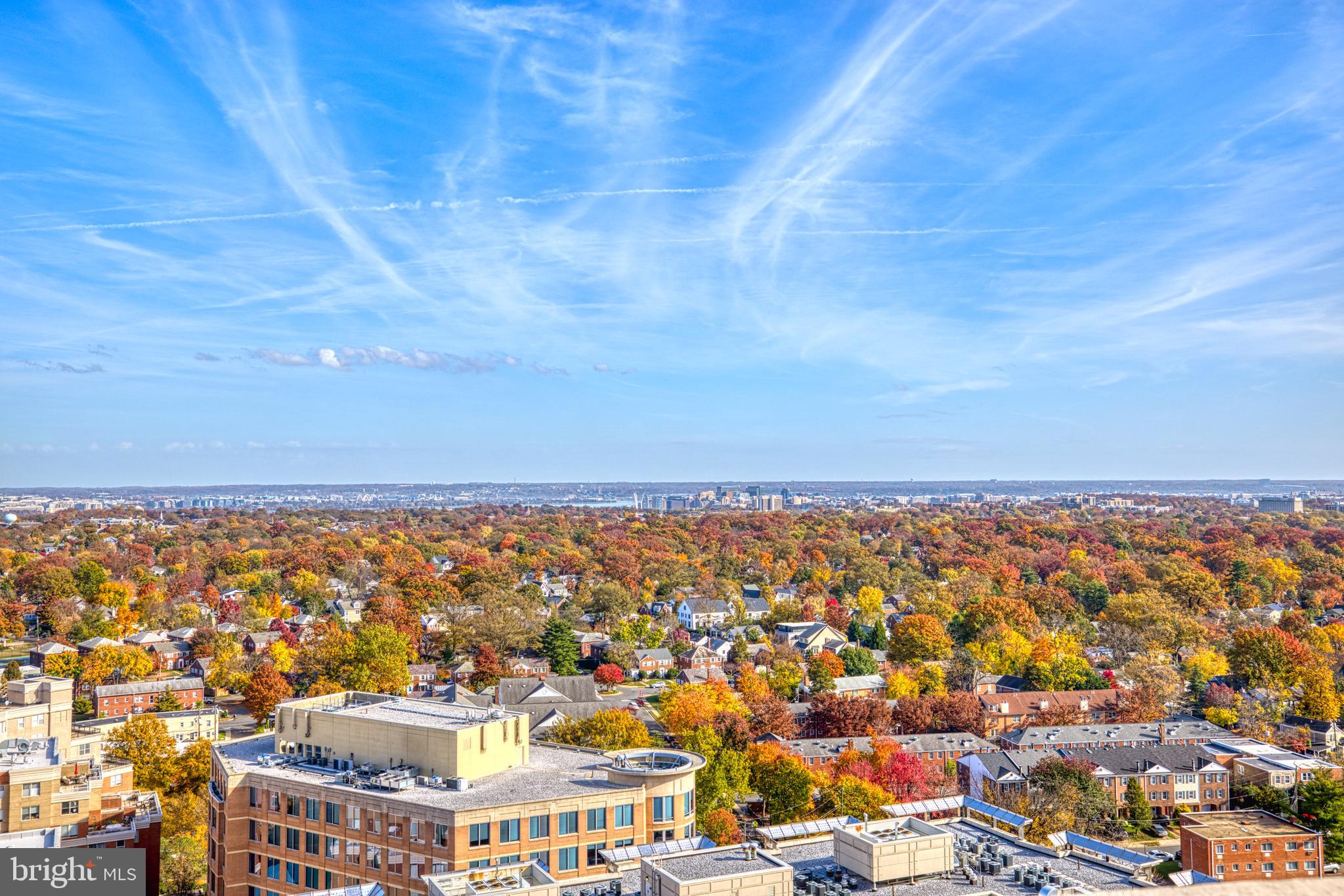 BALLSTON - Residential Lease