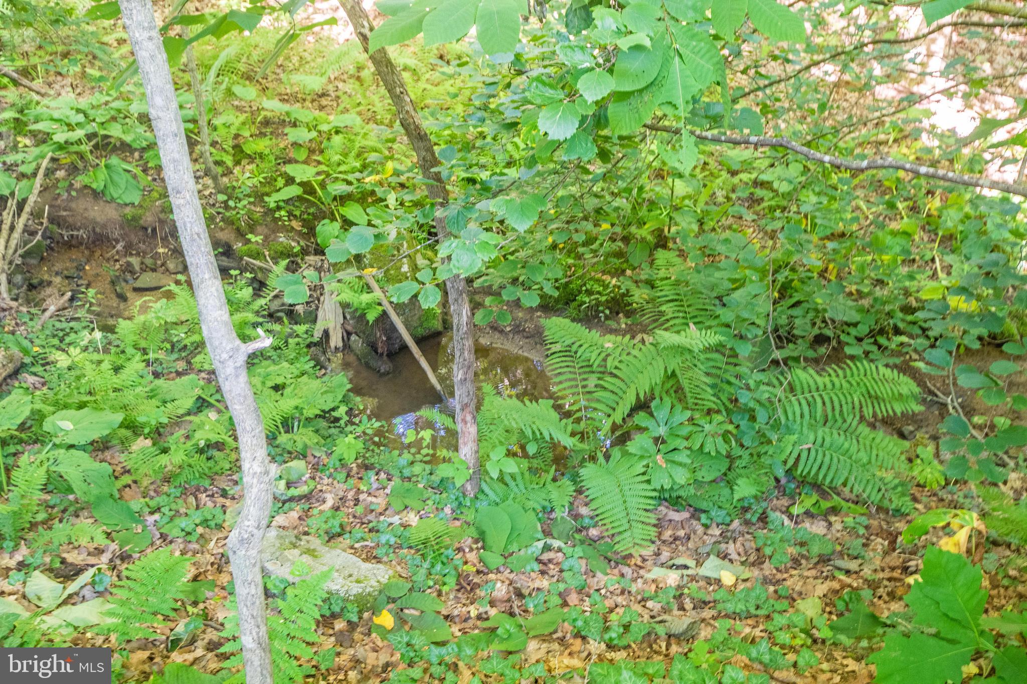 LAUREL BROOK - Residential