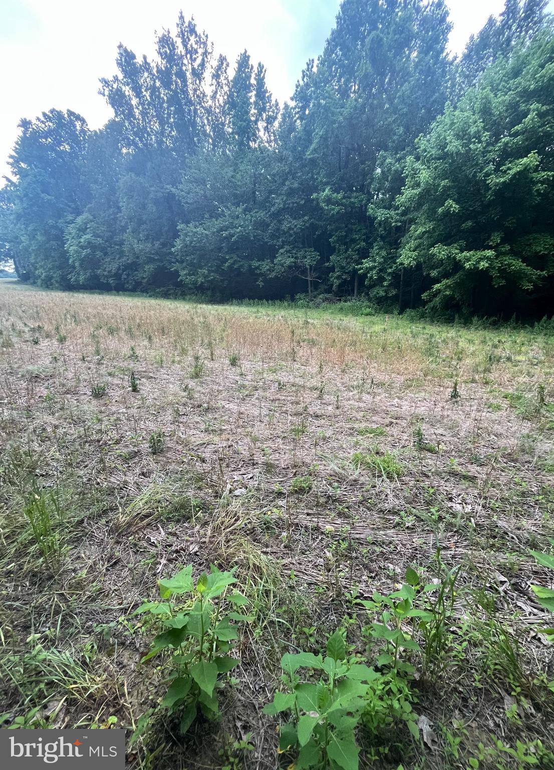 Lot 9 SALEM CHURCH RD