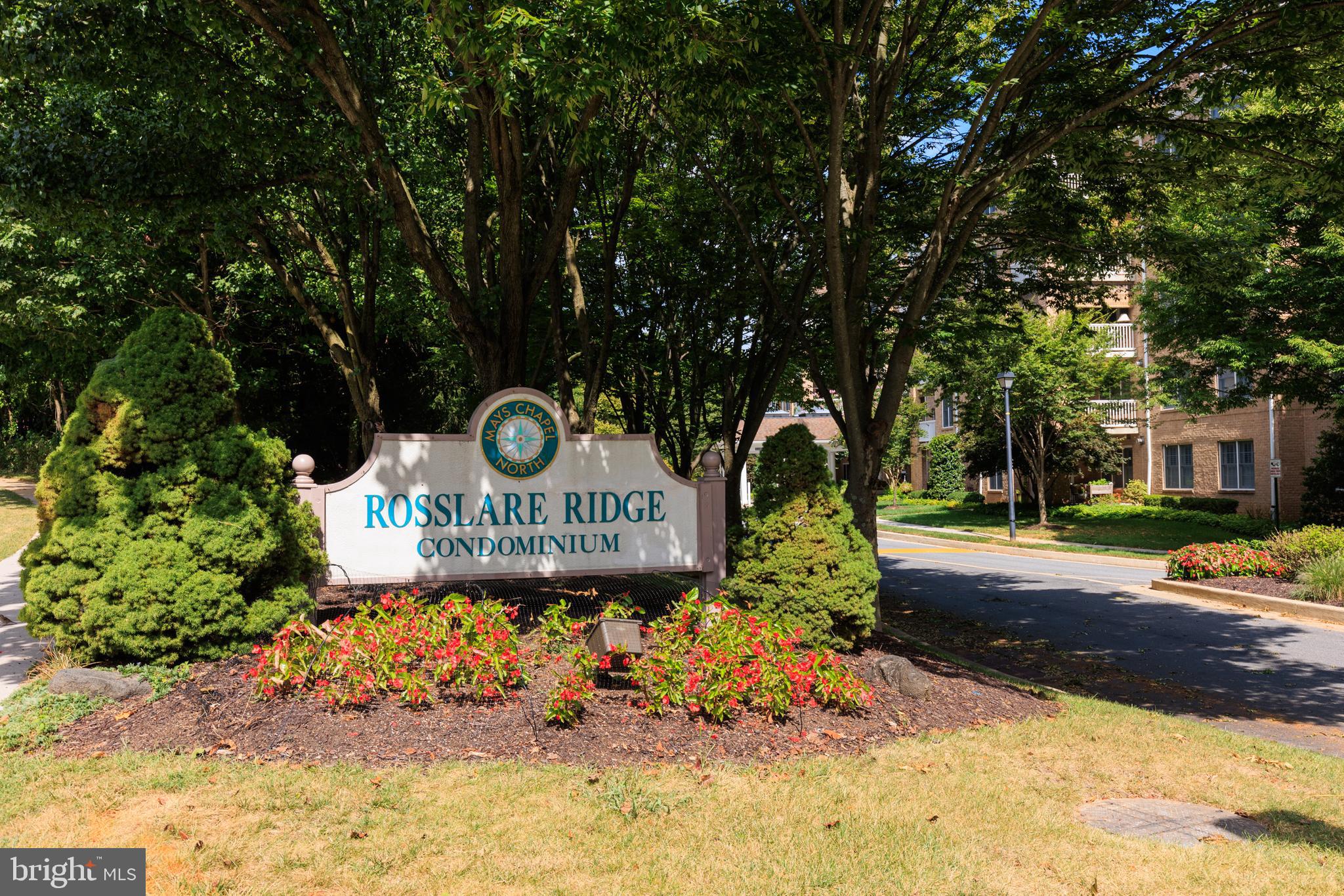 MAYS CHAPEL NORTH - Residential