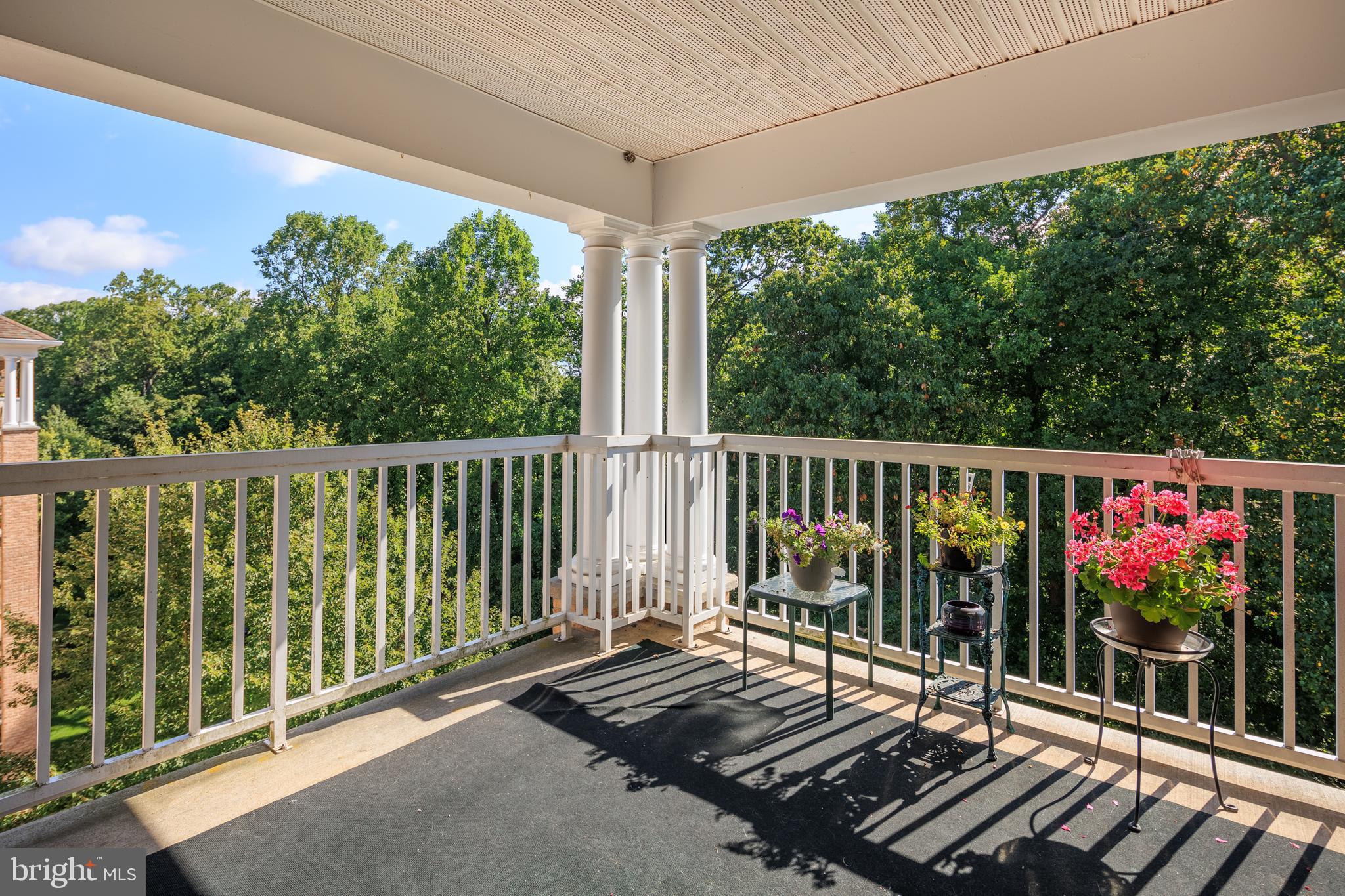 MAYS CHAPEL NORTH - Residential