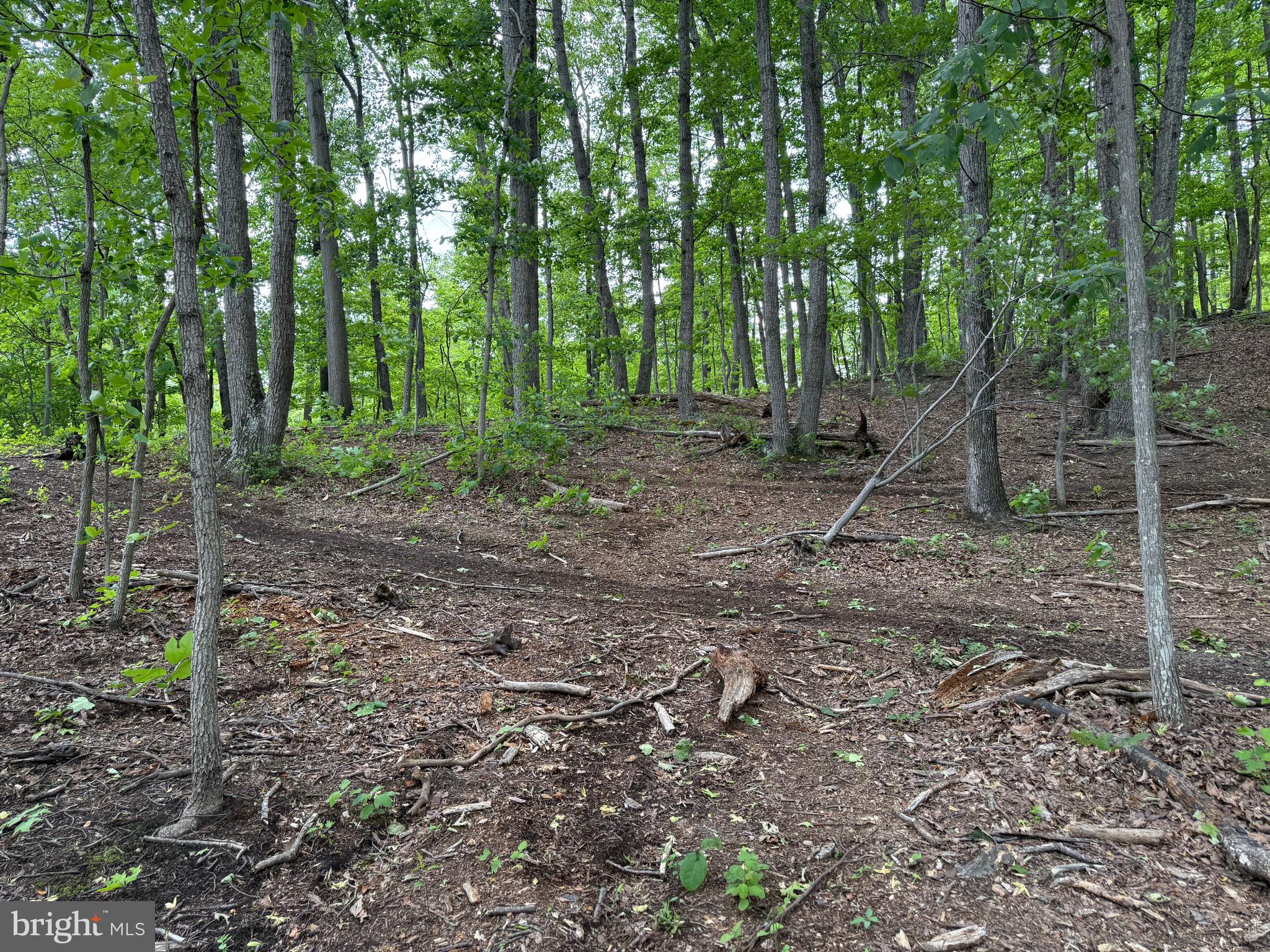 WILDE ACRES/ MTN FALLS - Land