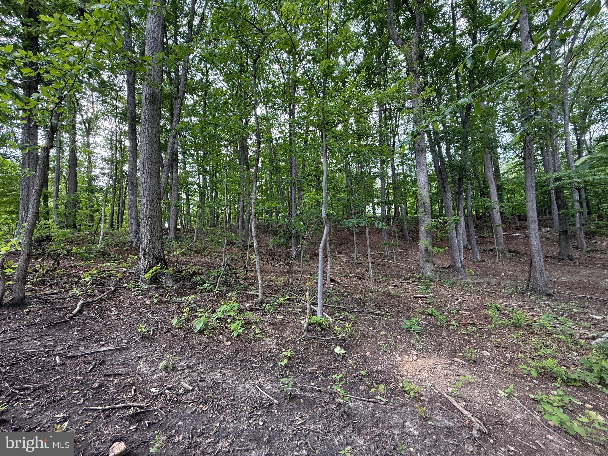 WILDE ACRES/ MTN FALLS - Land