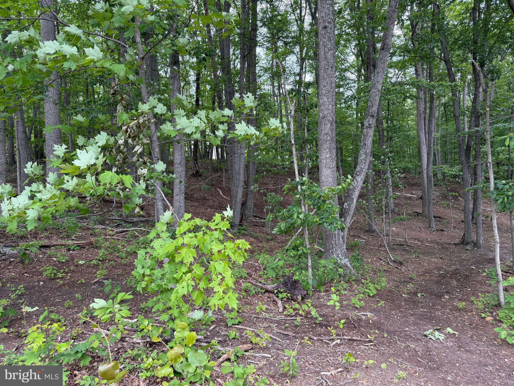 WILDE ACRES/ MTN FALLS - Land