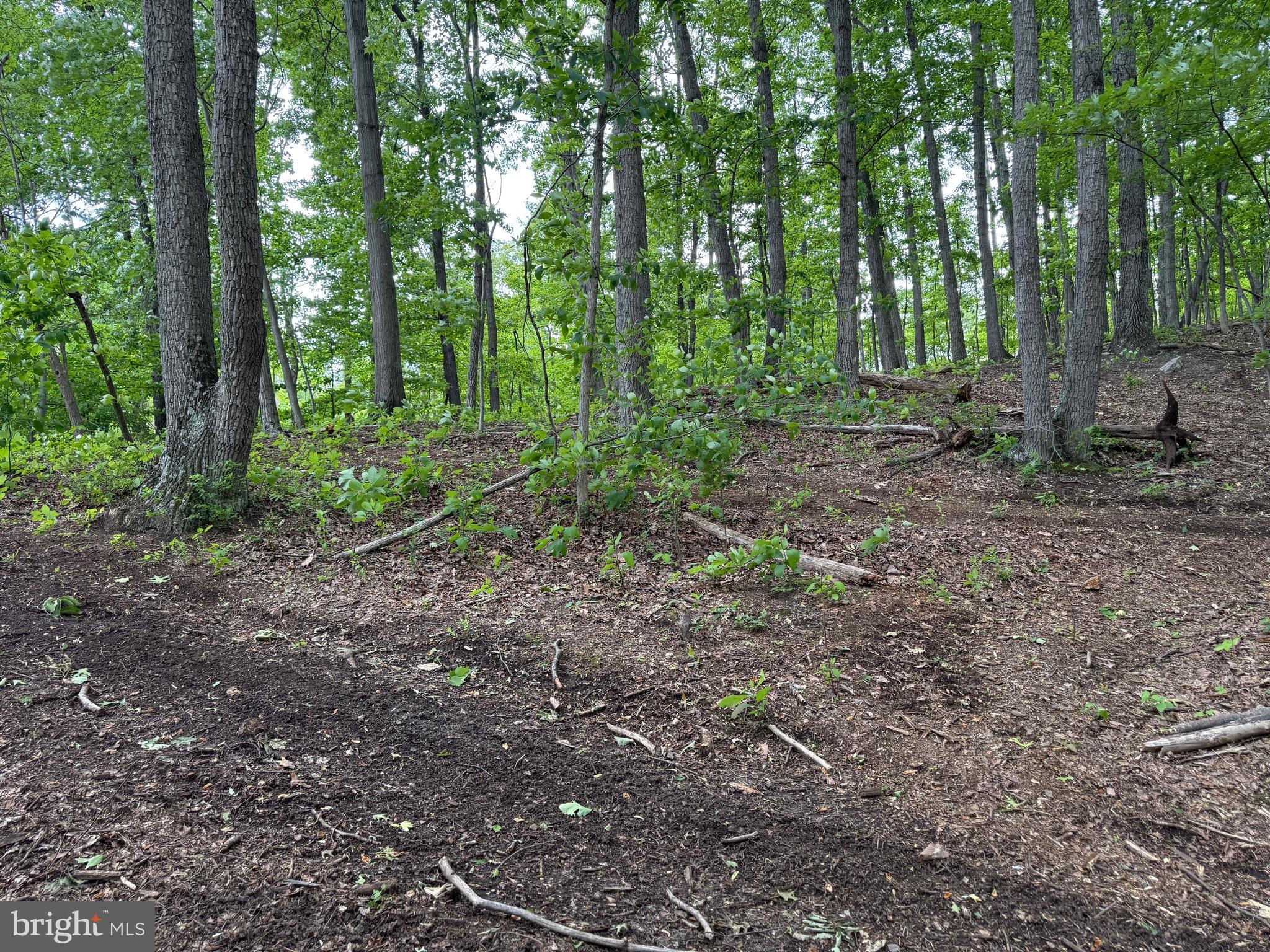 WILDE ACRES/ MTN FALLS - Land