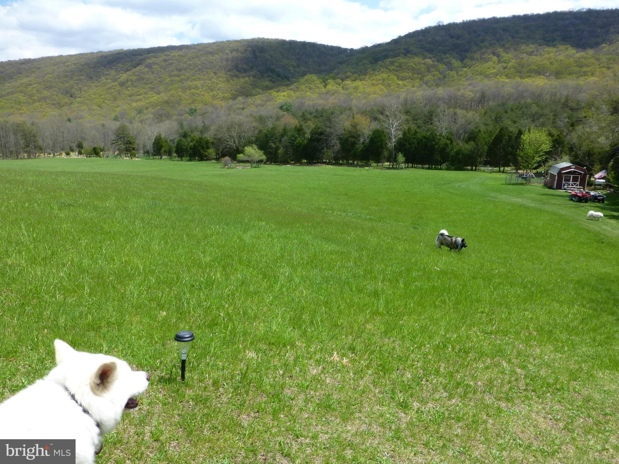 15.15 ac improved w/ 2 12x20' sheds (1 habitable, 1 storage) and toilet w/permit. Power - phone installed. Two streams run thru property, several stocked and planted ponds have been created and lovingly maintained. Large field is maintained, cut, baled by local farmer at no cost to owner. Woods trails & improvements make camping enjoyable year-round. Very buildable property with mountain views.