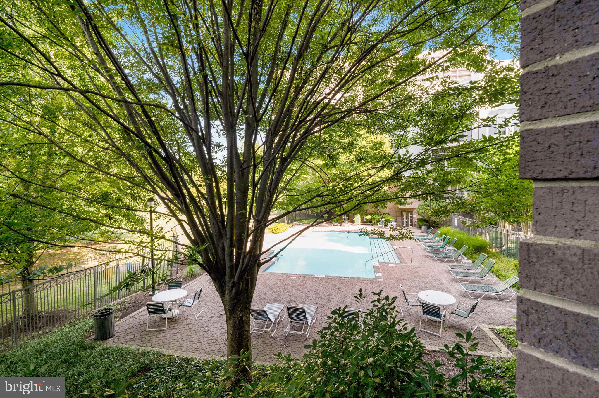 SAVOY PARK CONDOMINIUMS - Residential