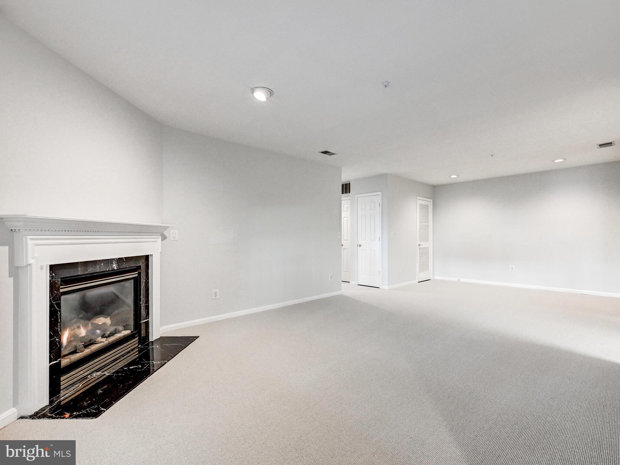 12111 TULLAMORE COURT 101