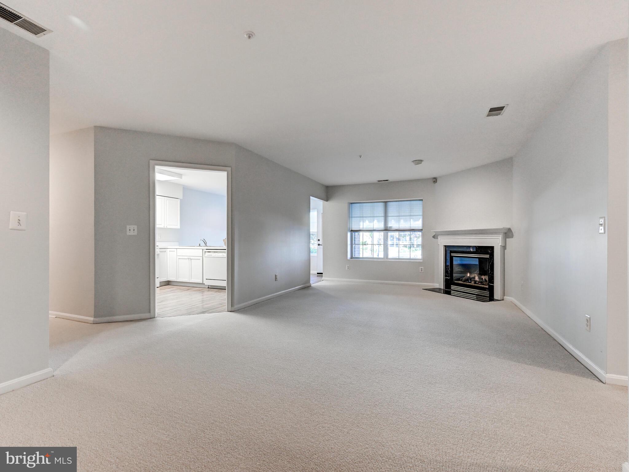 12111 TULLAMORE COURT 101