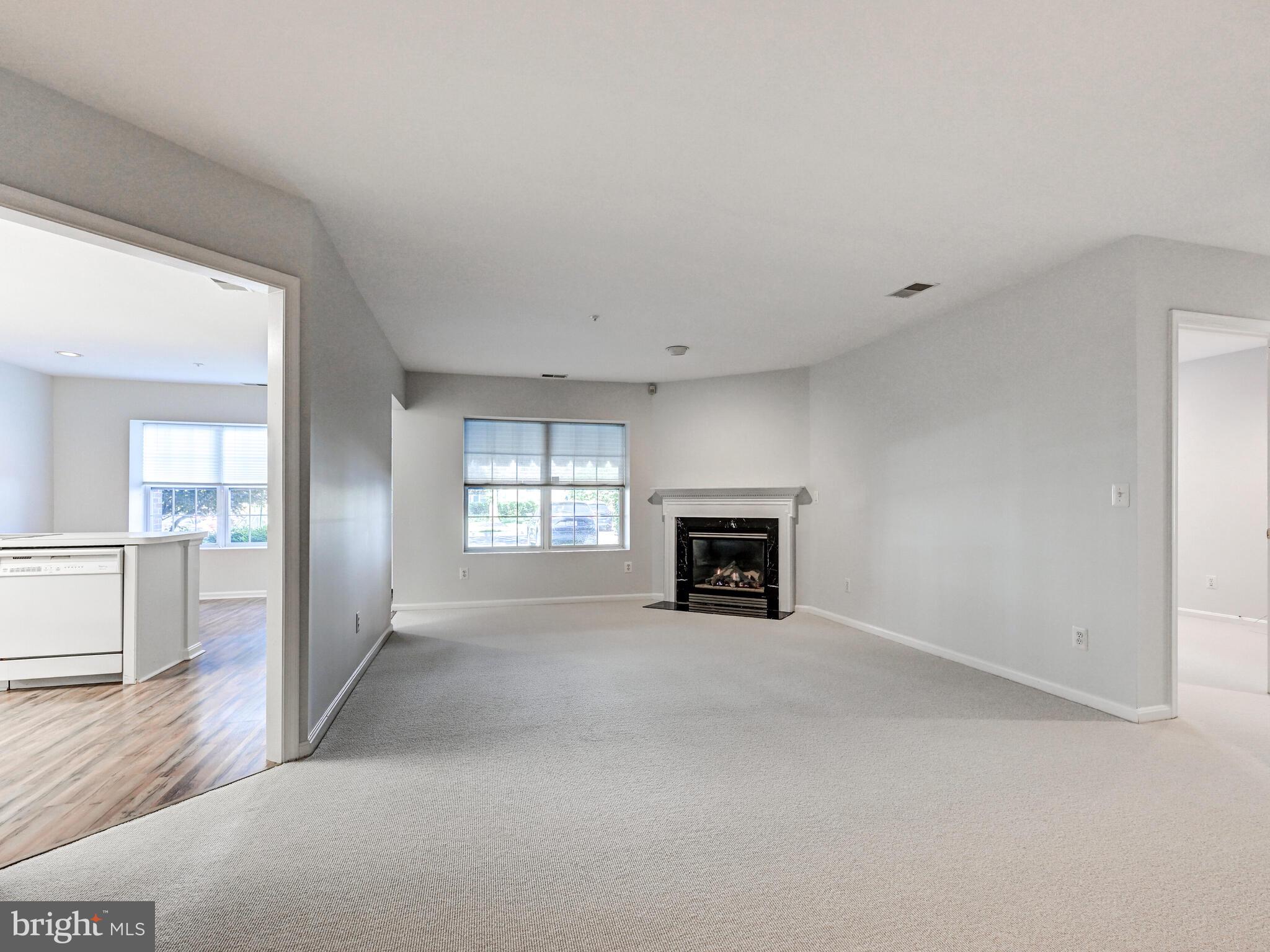 12111 TULLAMORE COURT 101