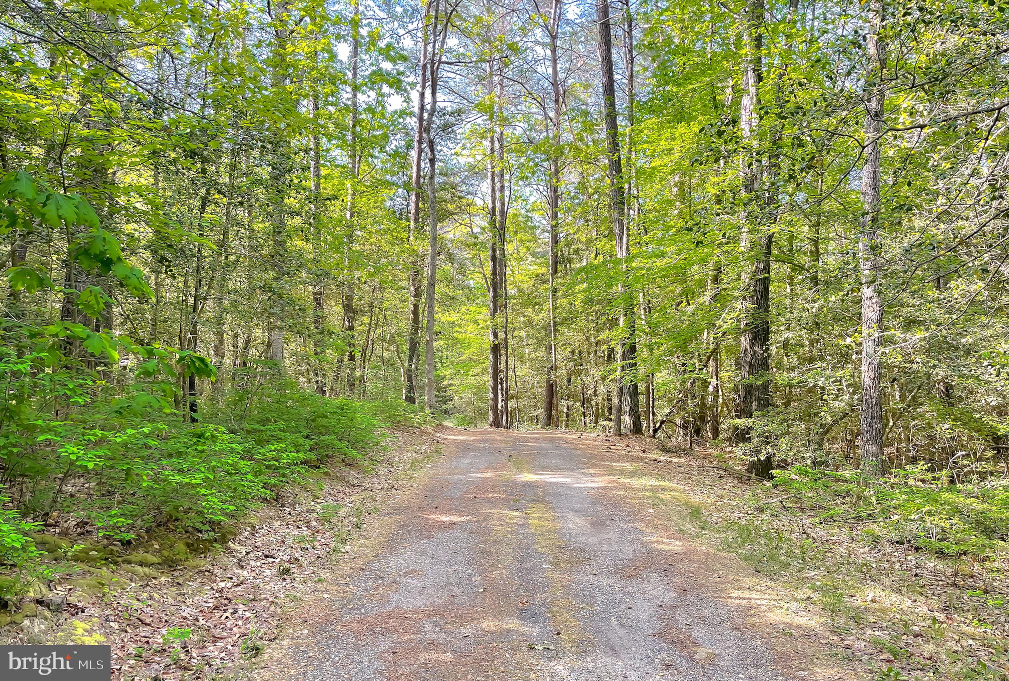 TOWER HILL - Residential