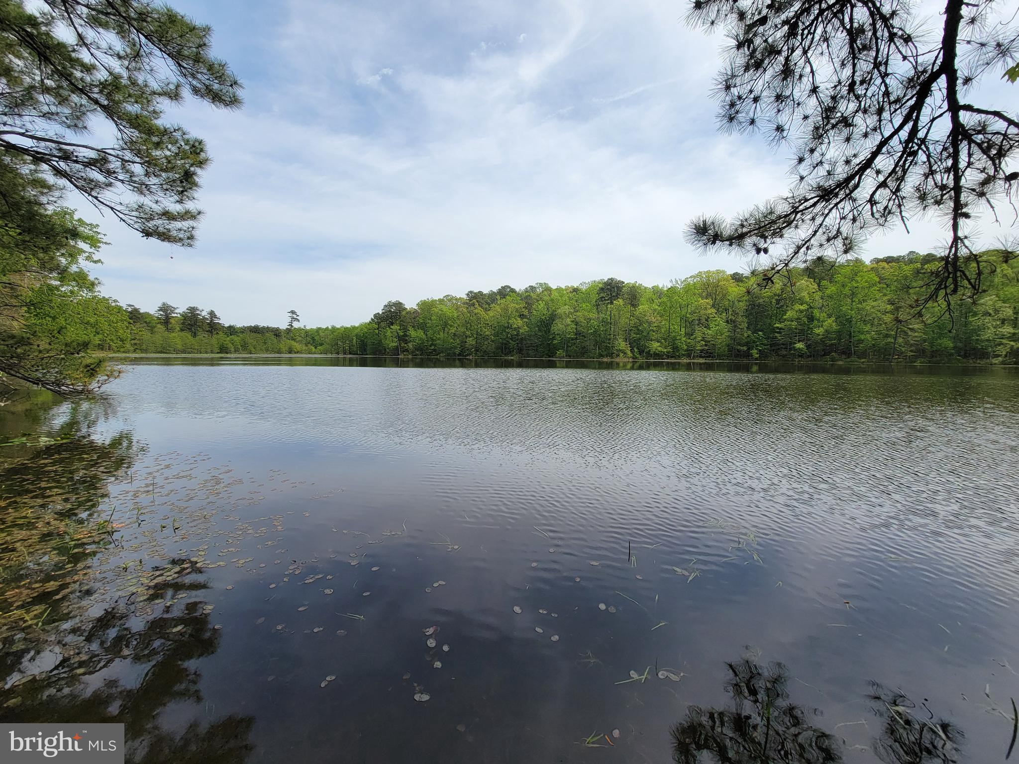 TOWER HILL - Residential