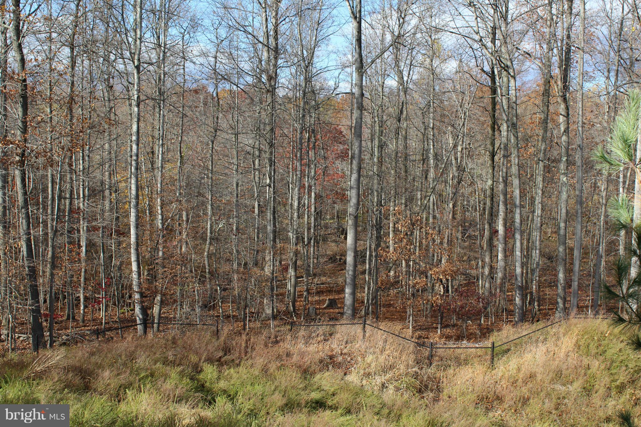 LEE PROPERTY - Residential