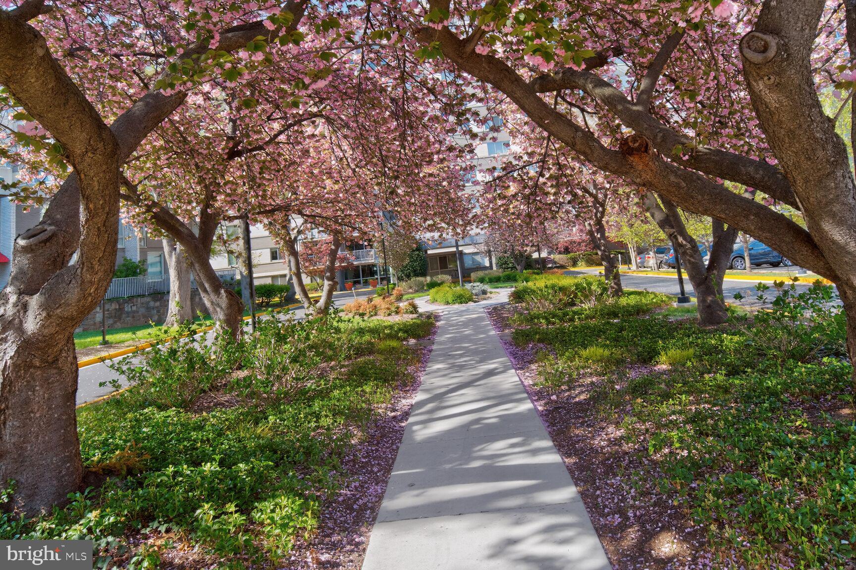 WHITEHALL - Residential