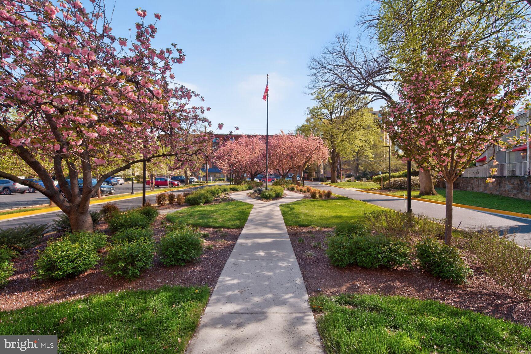 WHITEHALL - Residential