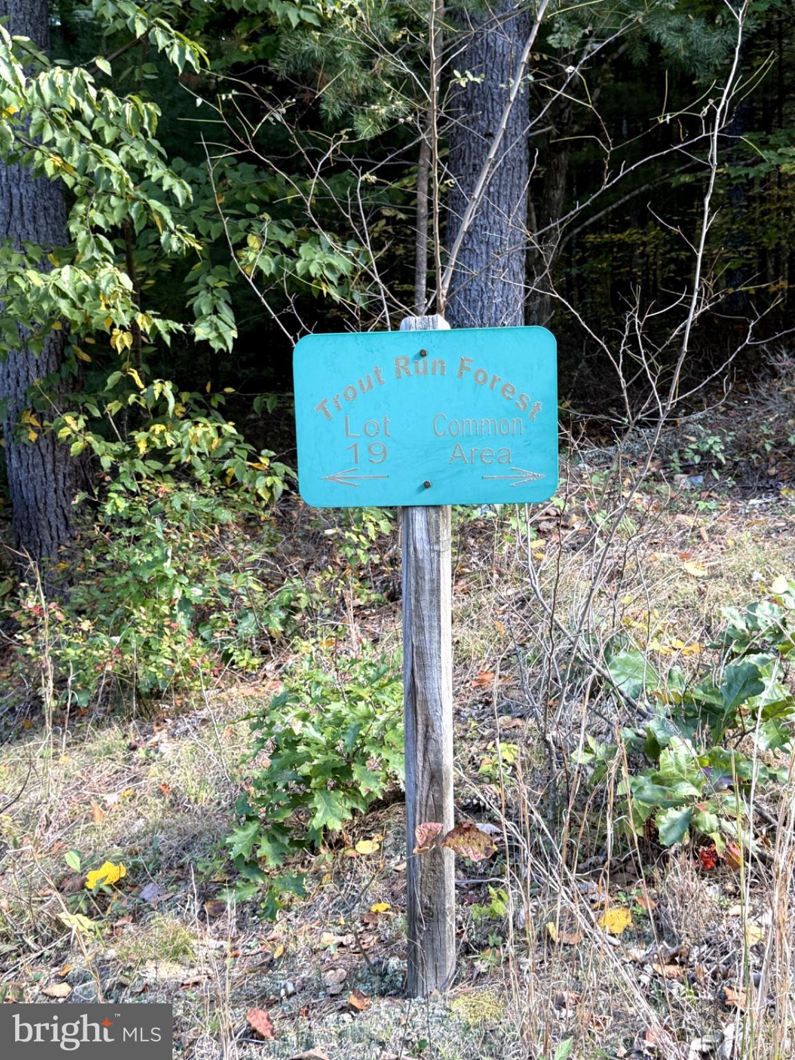 Lot 19 2AC BROOKE TROUT DRIVE