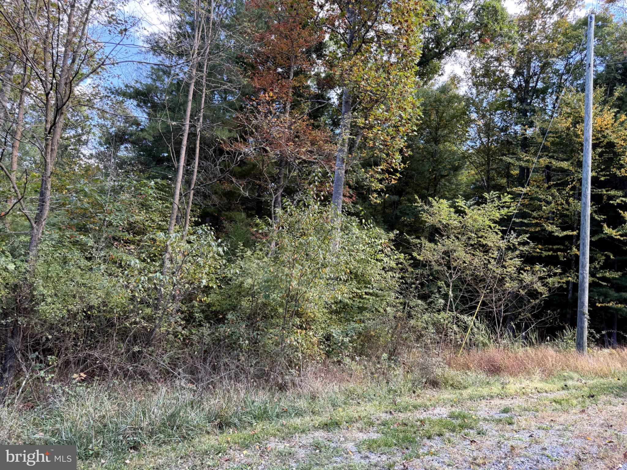 Lot 19 2AC BROOKE TROUT DRIVE