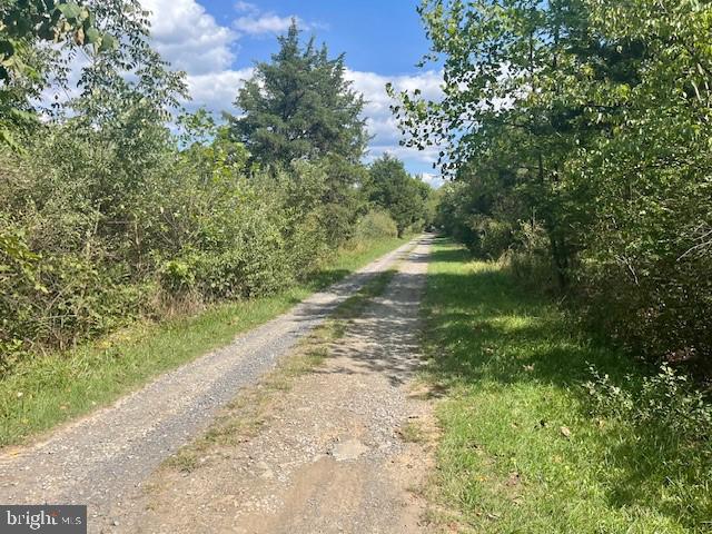 LAND OF LURAY - Land